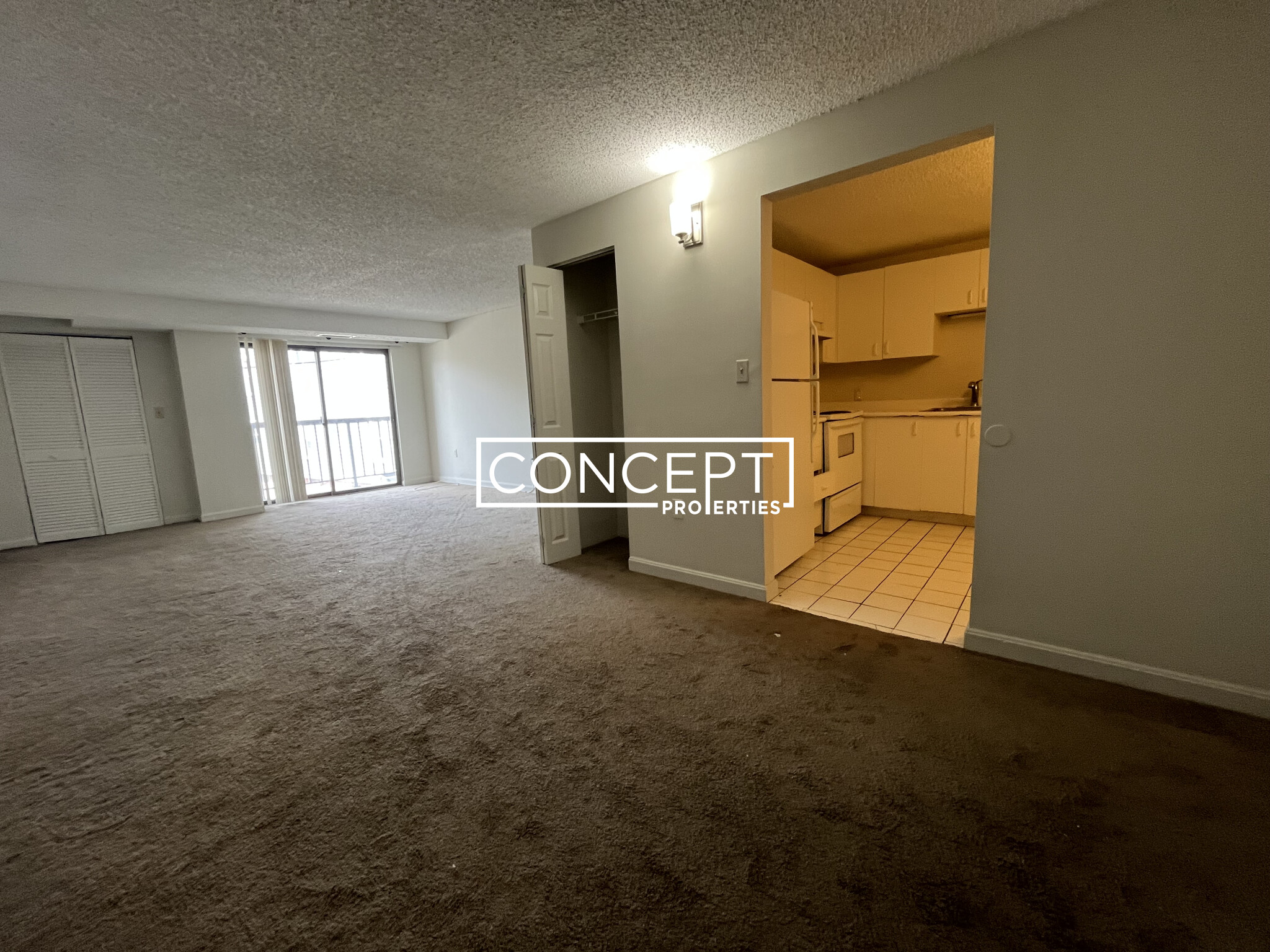 Concept Properties
