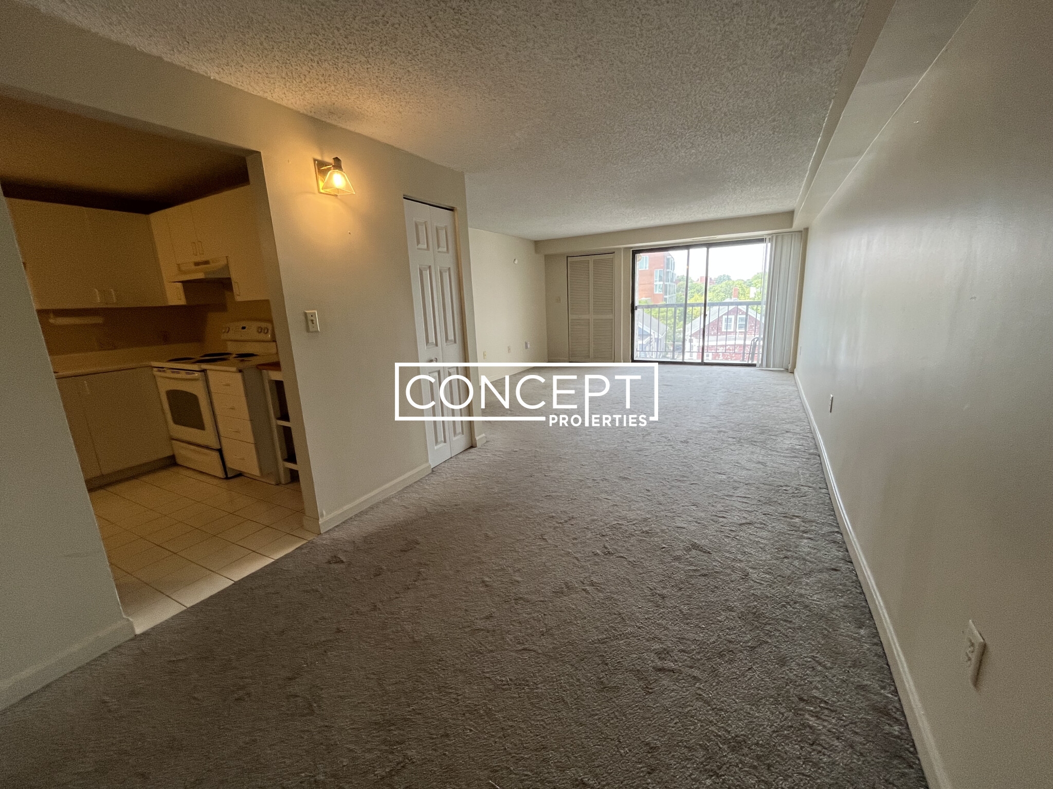 Concept Properties