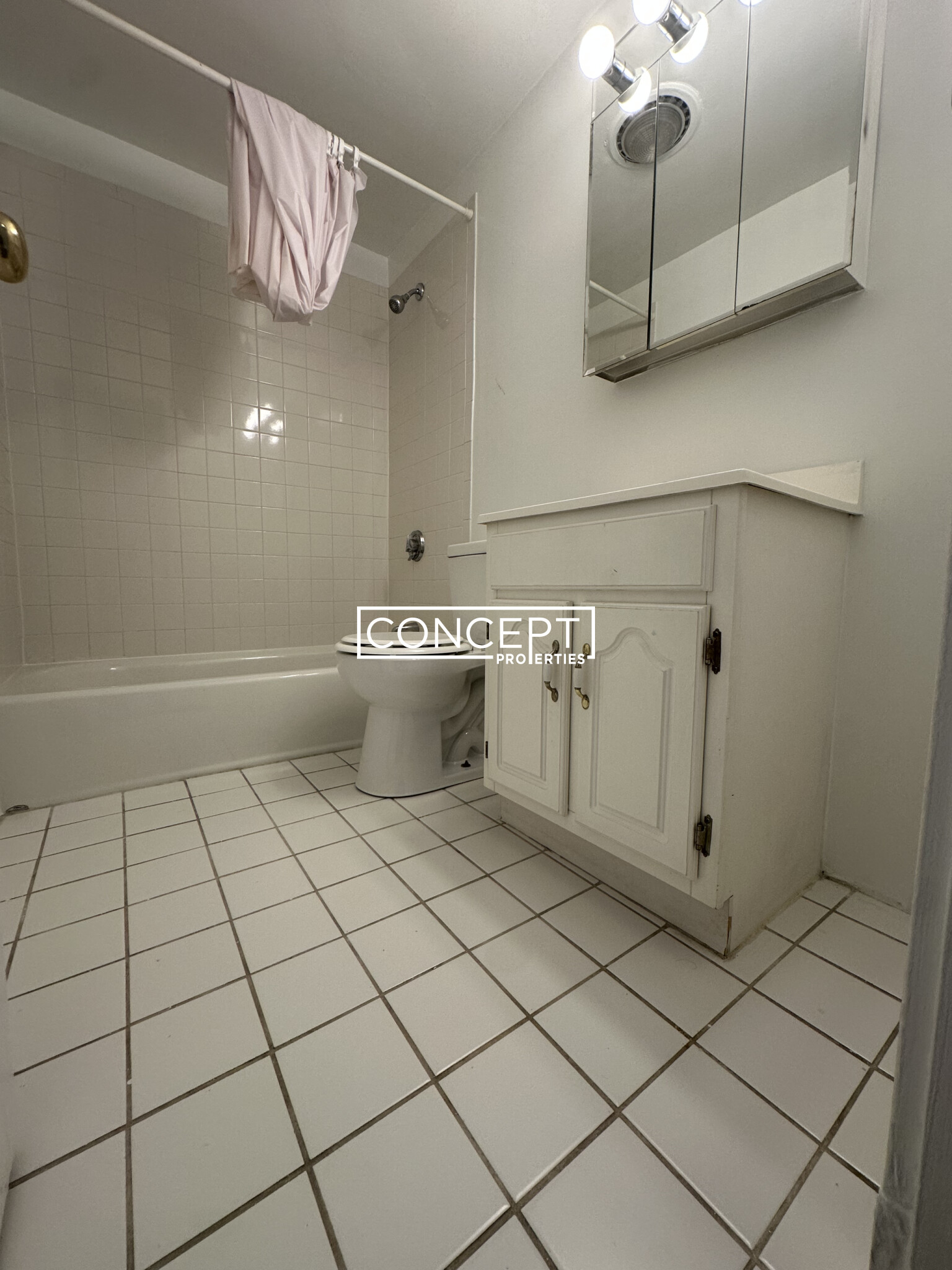 Concept Properties
