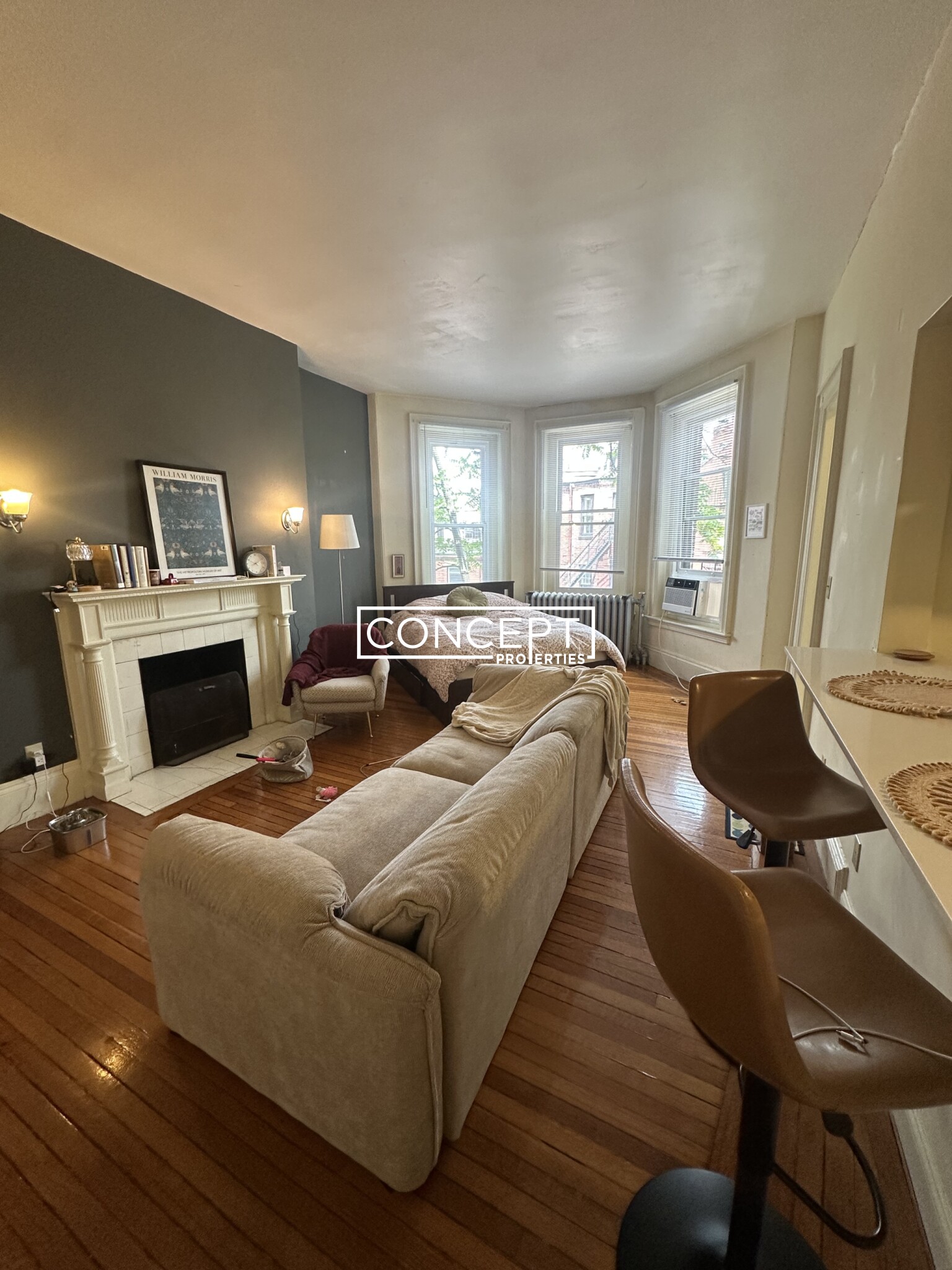 Concept Properties