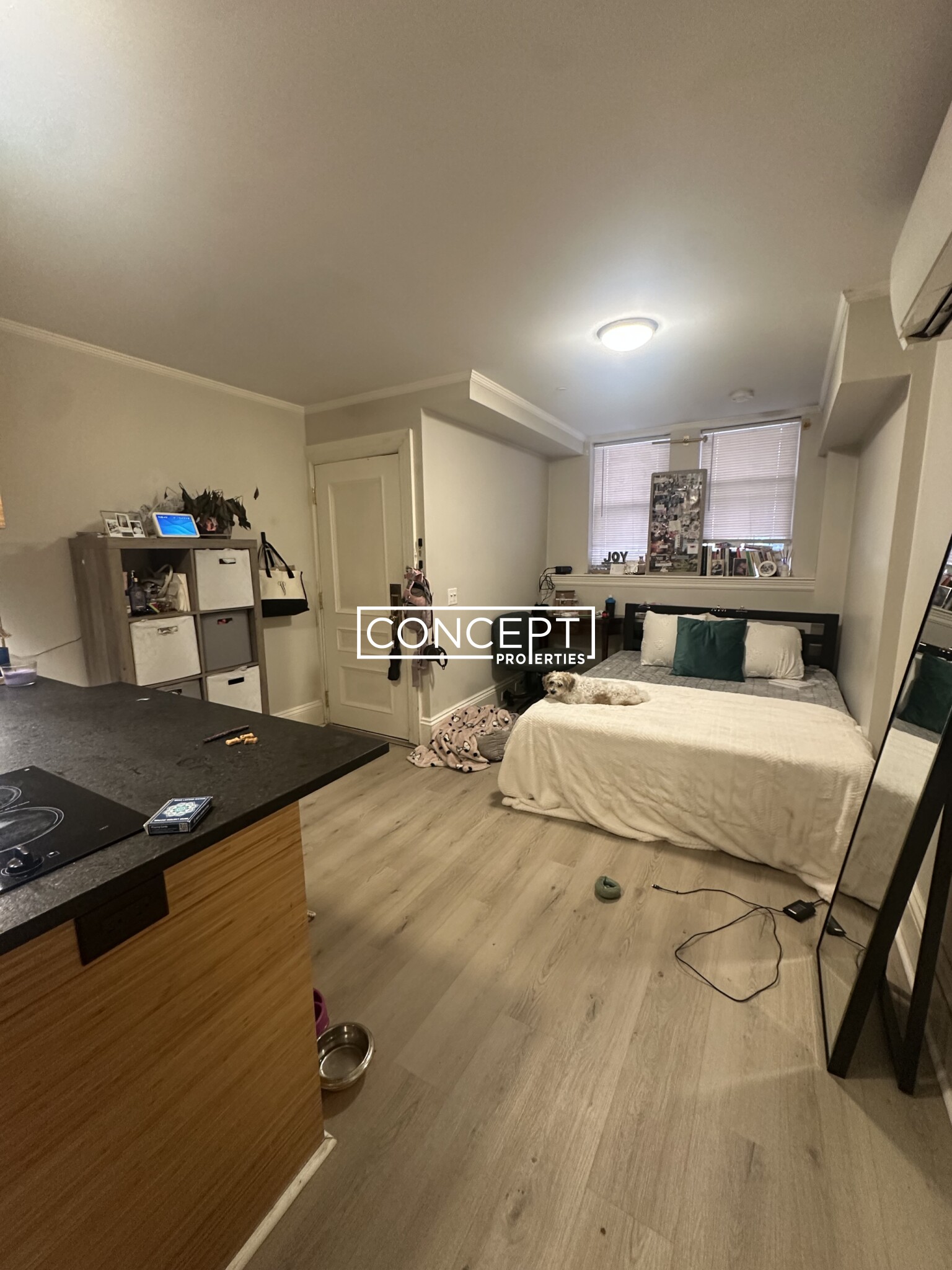 Concept Properties