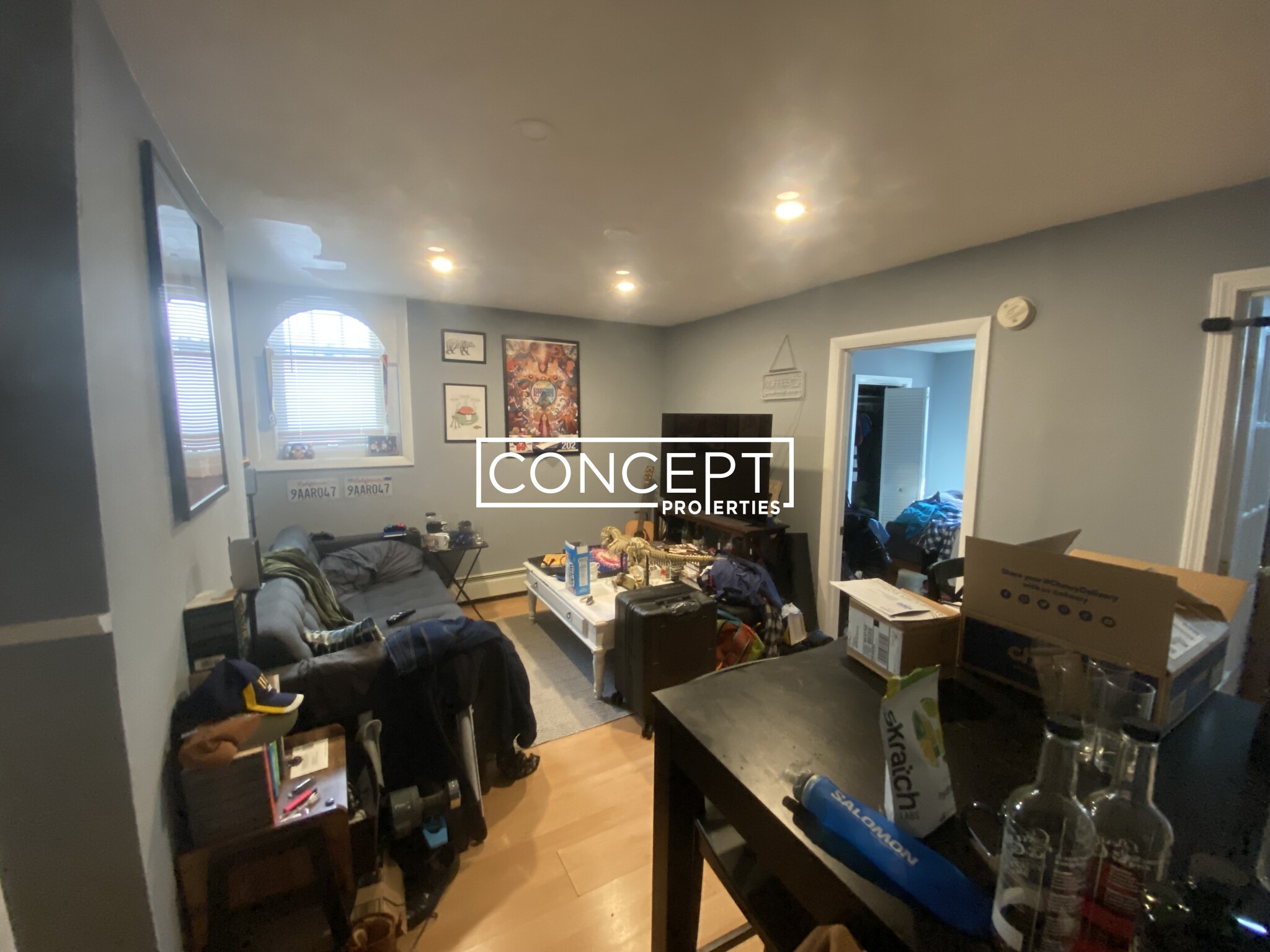 Concept Properties