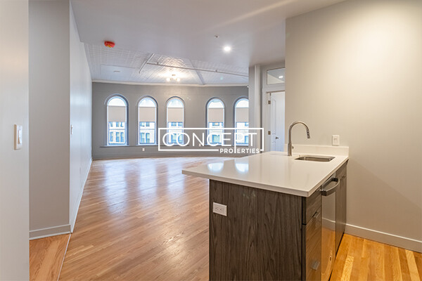 Concept Properties
