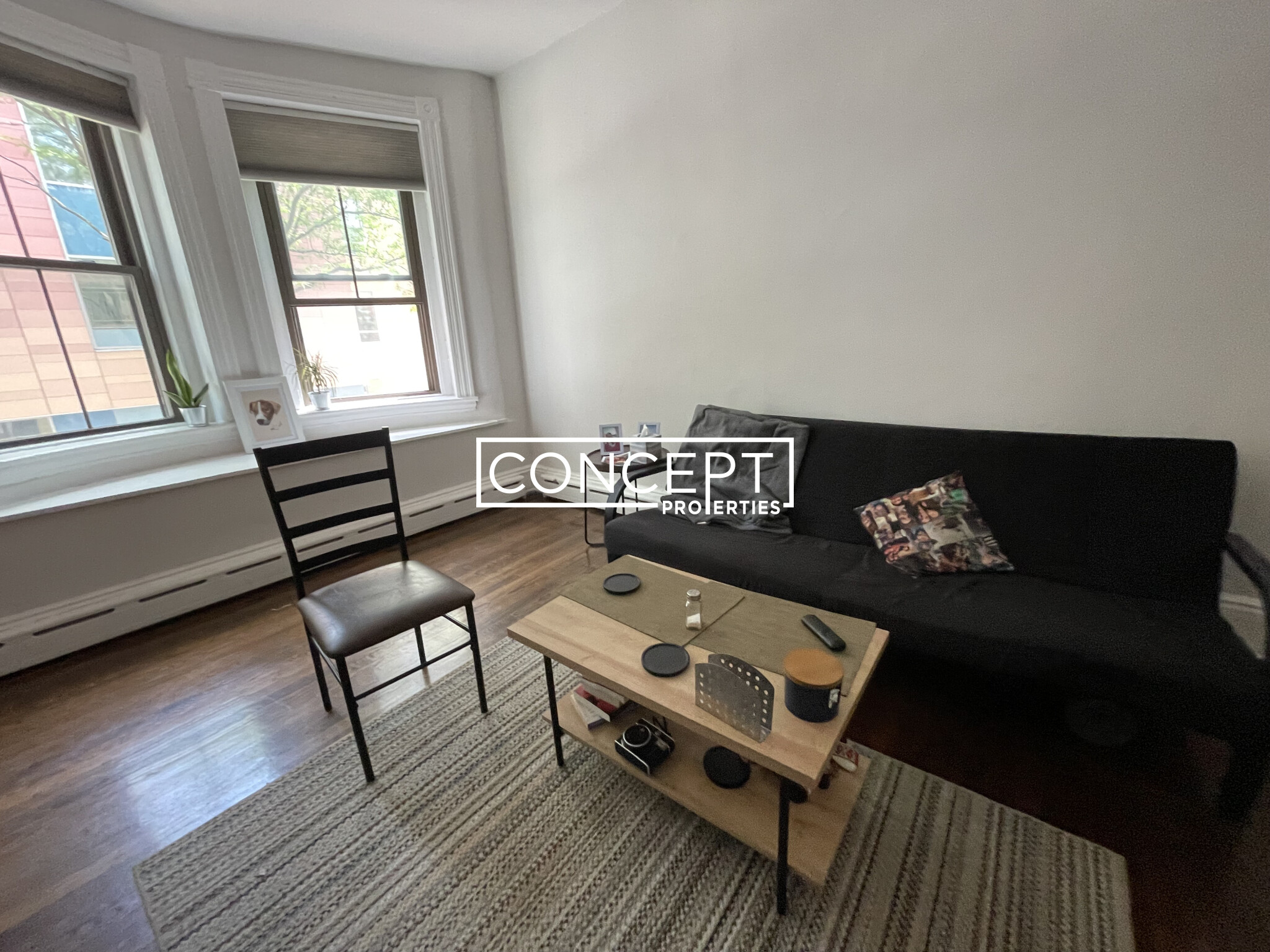 Concept Properties
