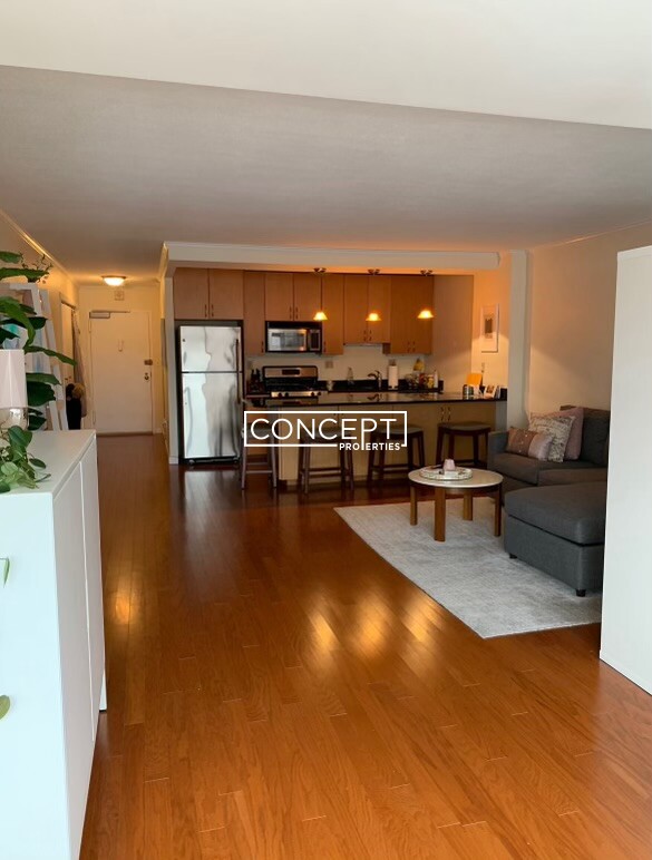 Concept Properties