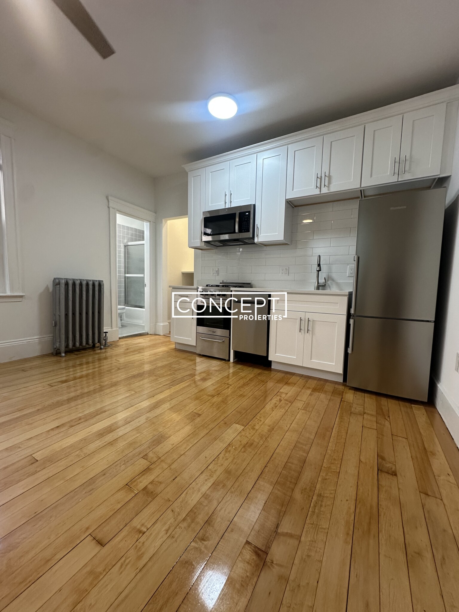 Concept Properties