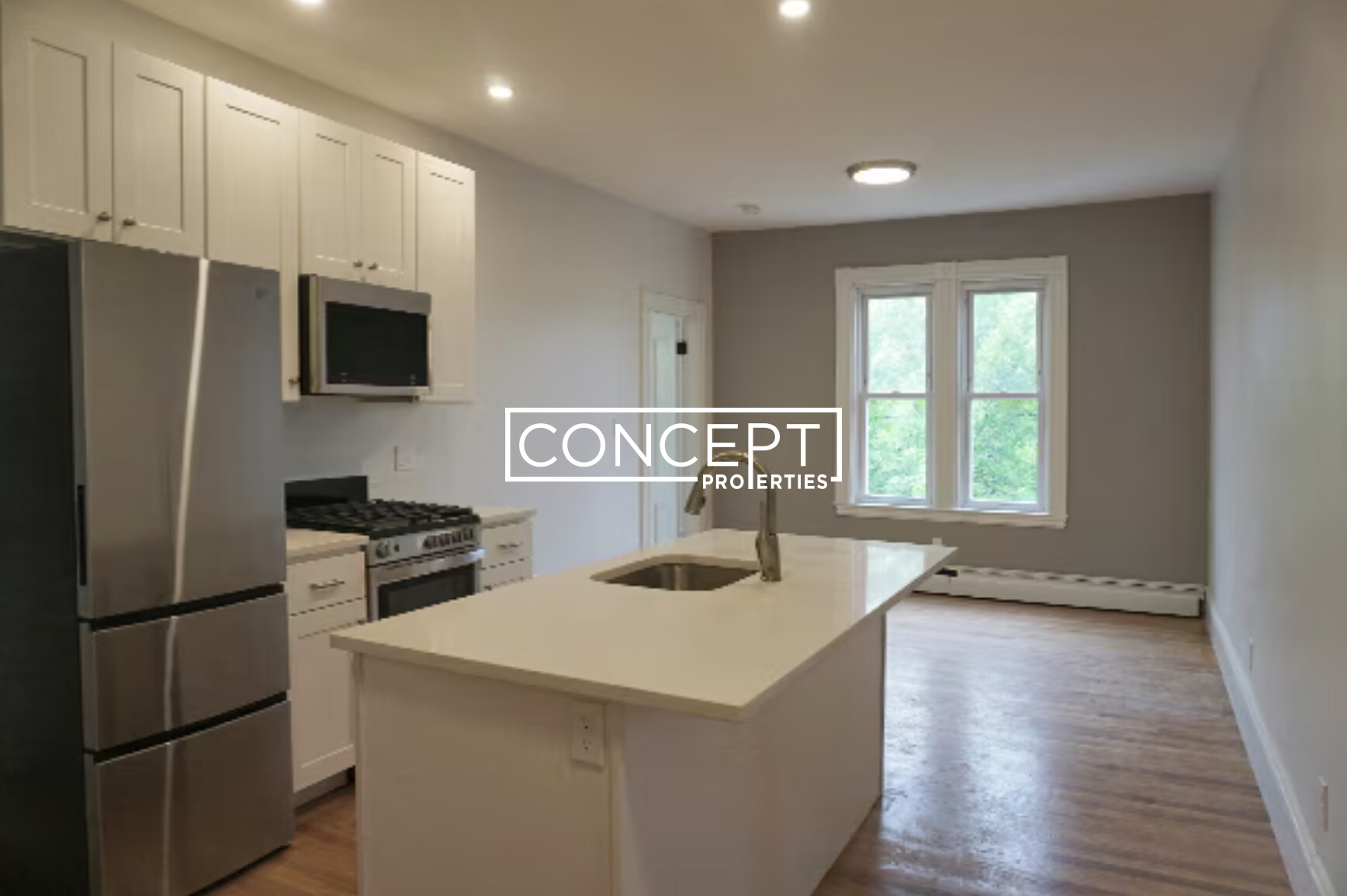 Concept Properties