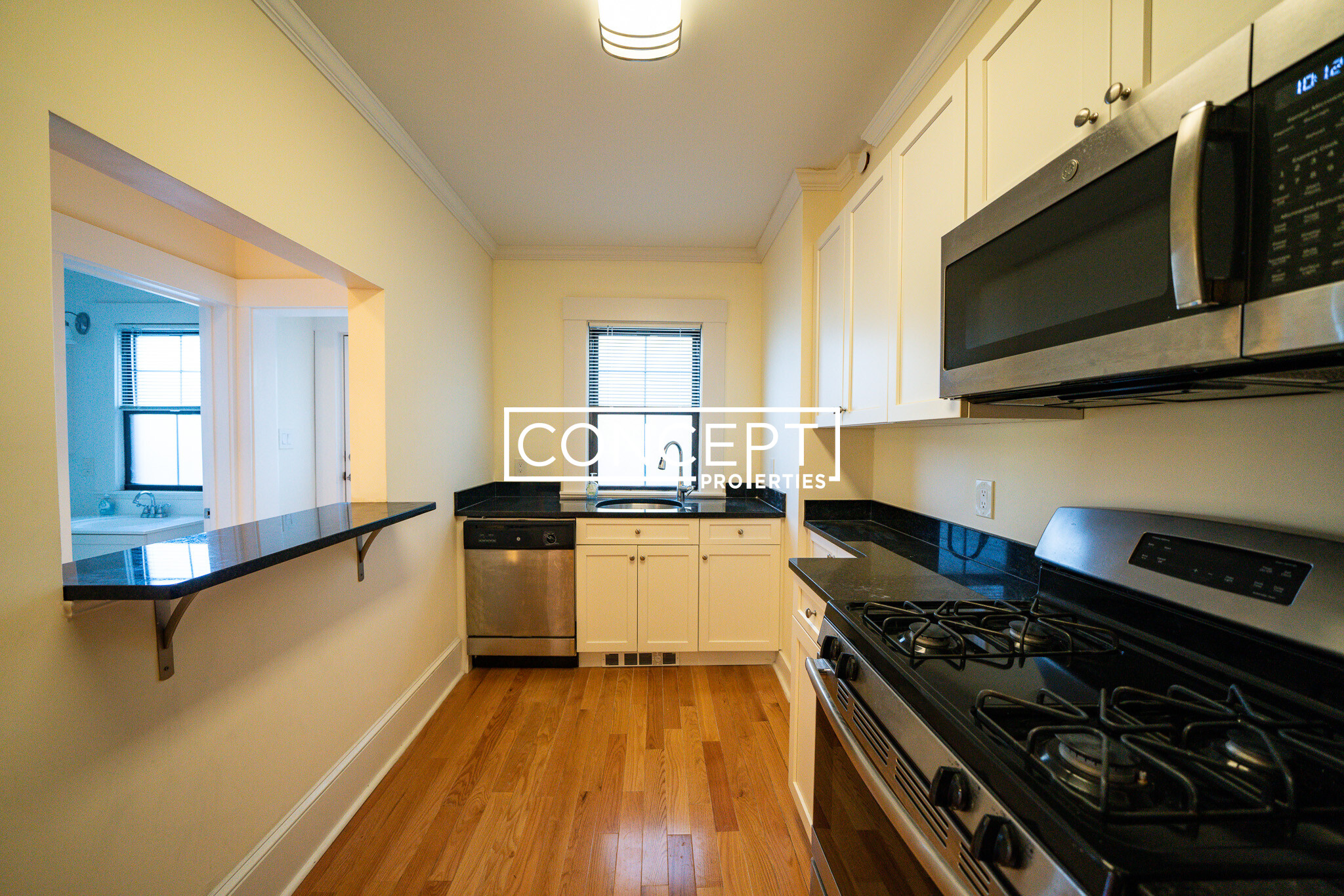 Concept Properties