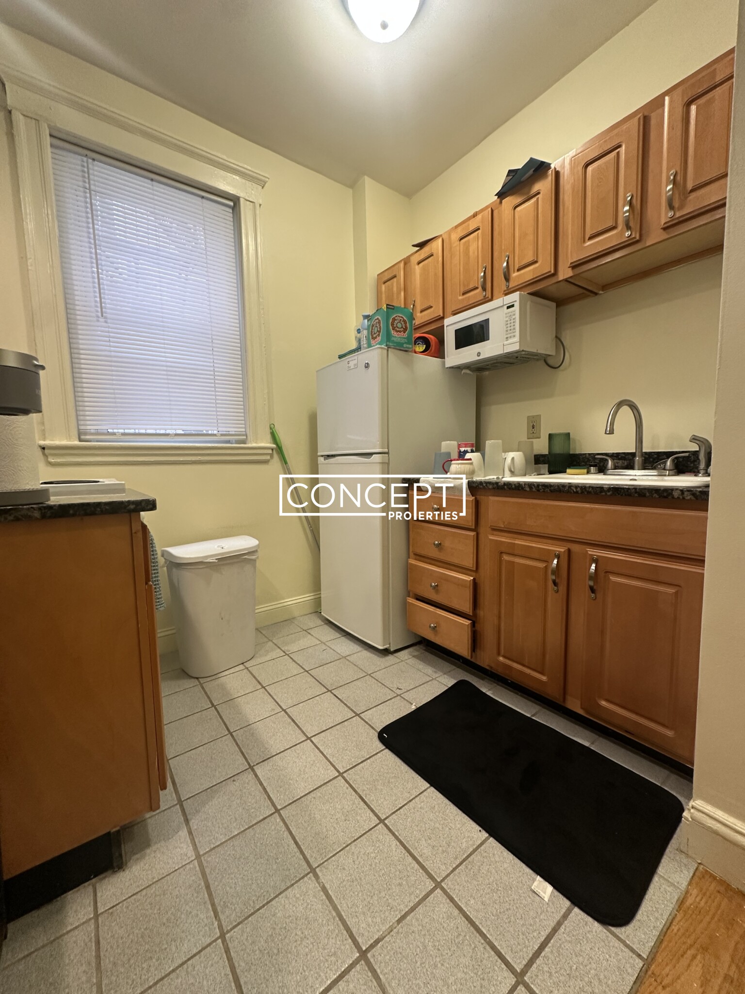 Concept Properties