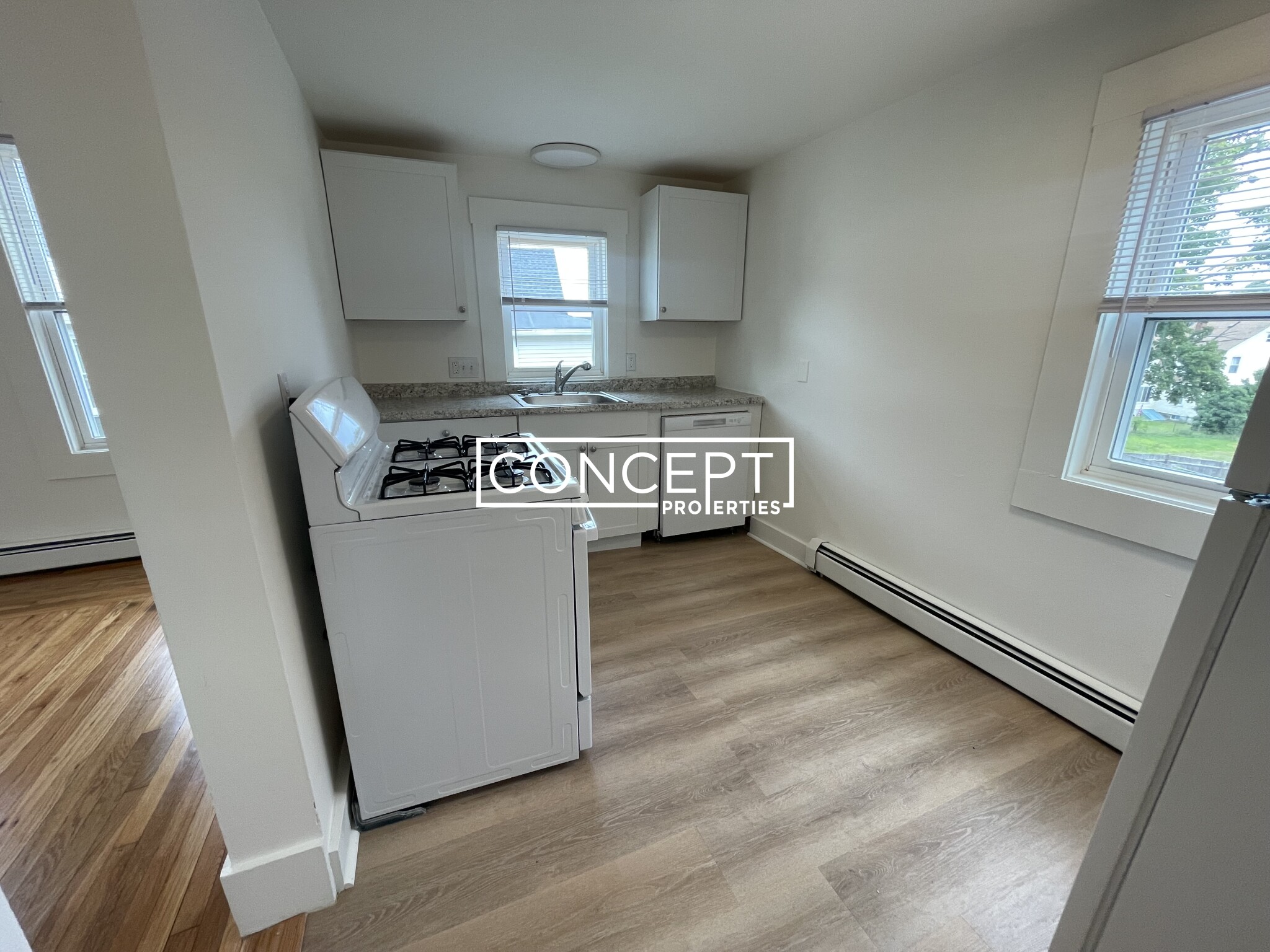 Concept Properties