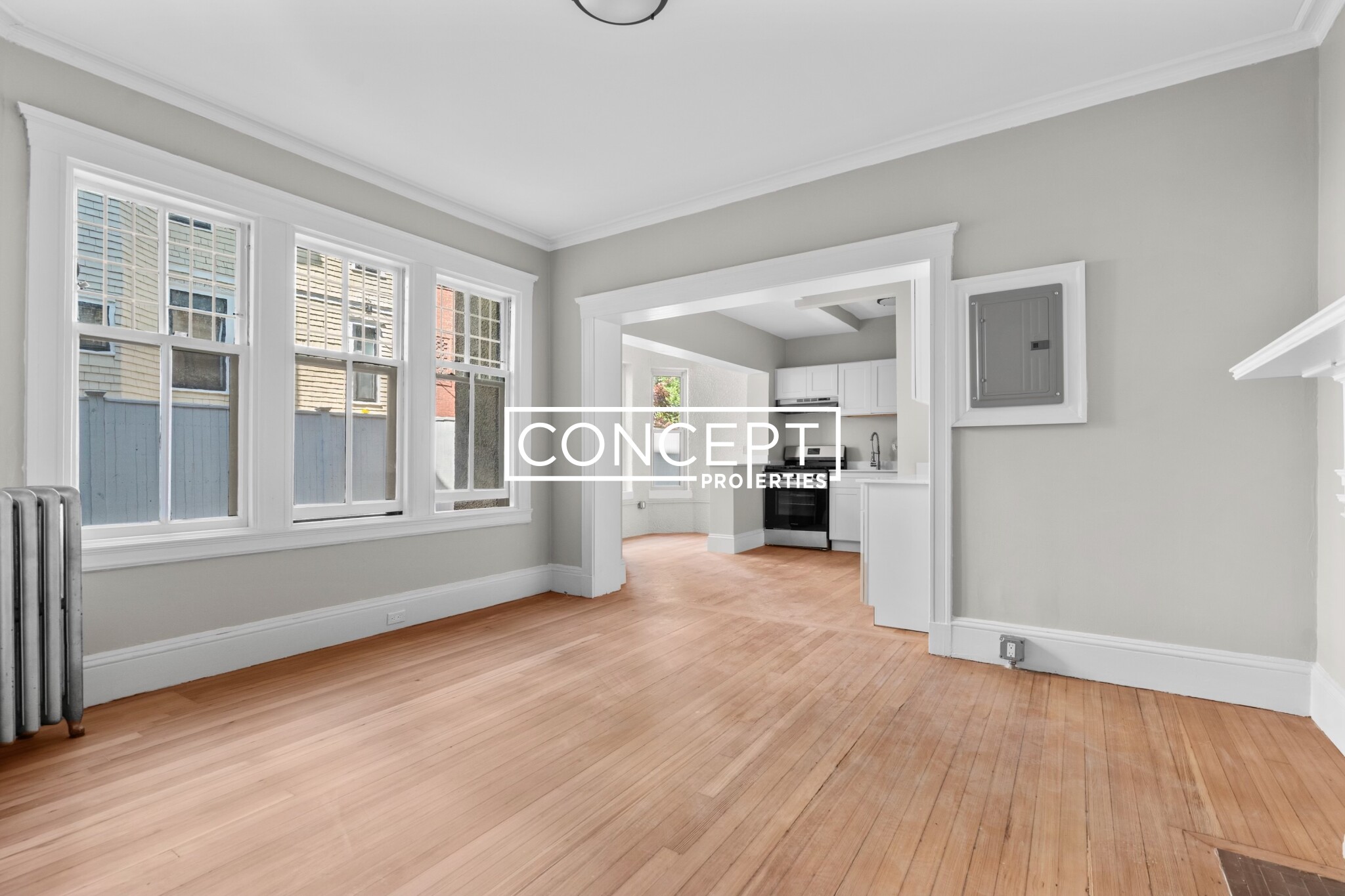 Concept Properties