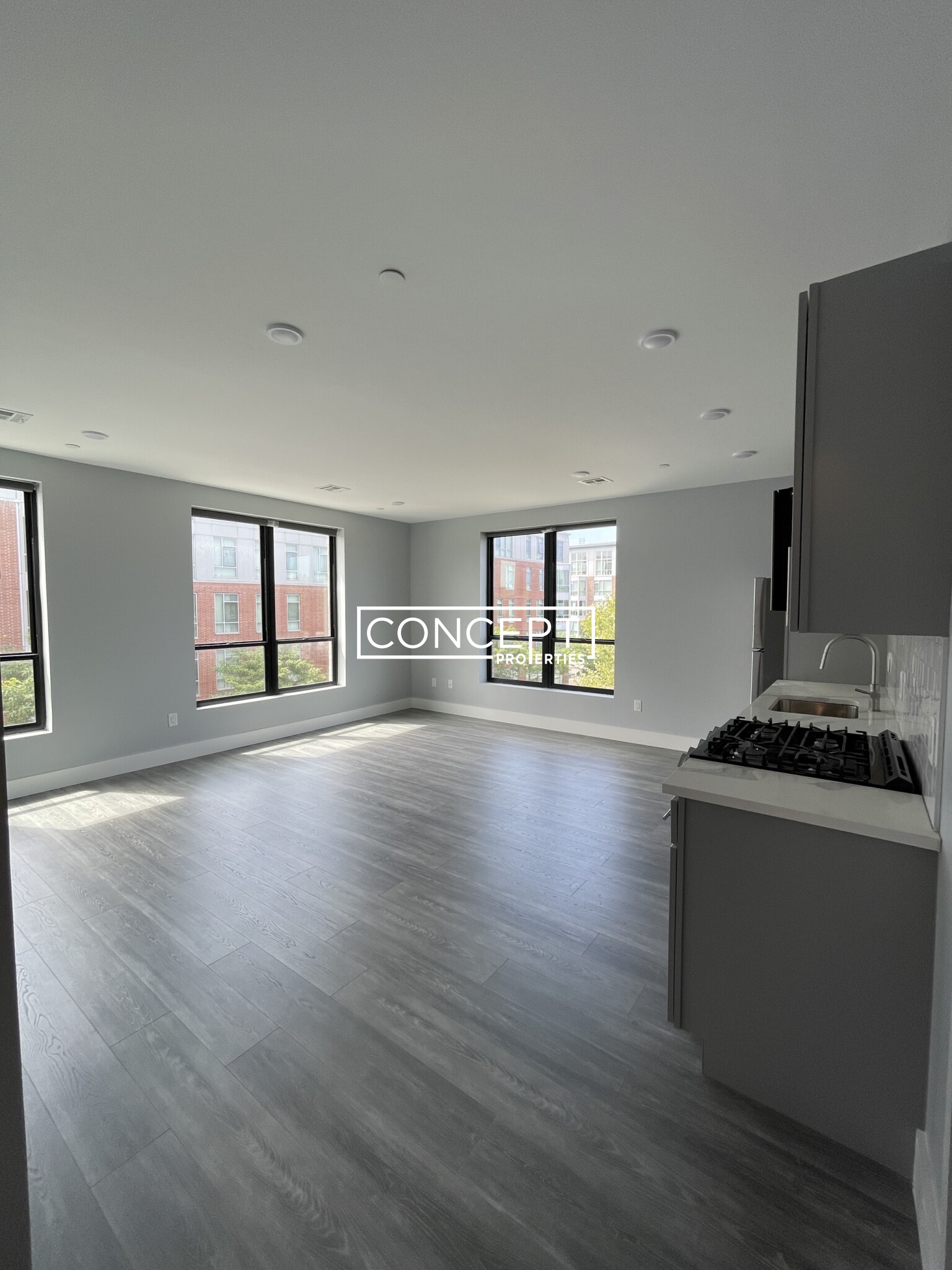 Concept Properties