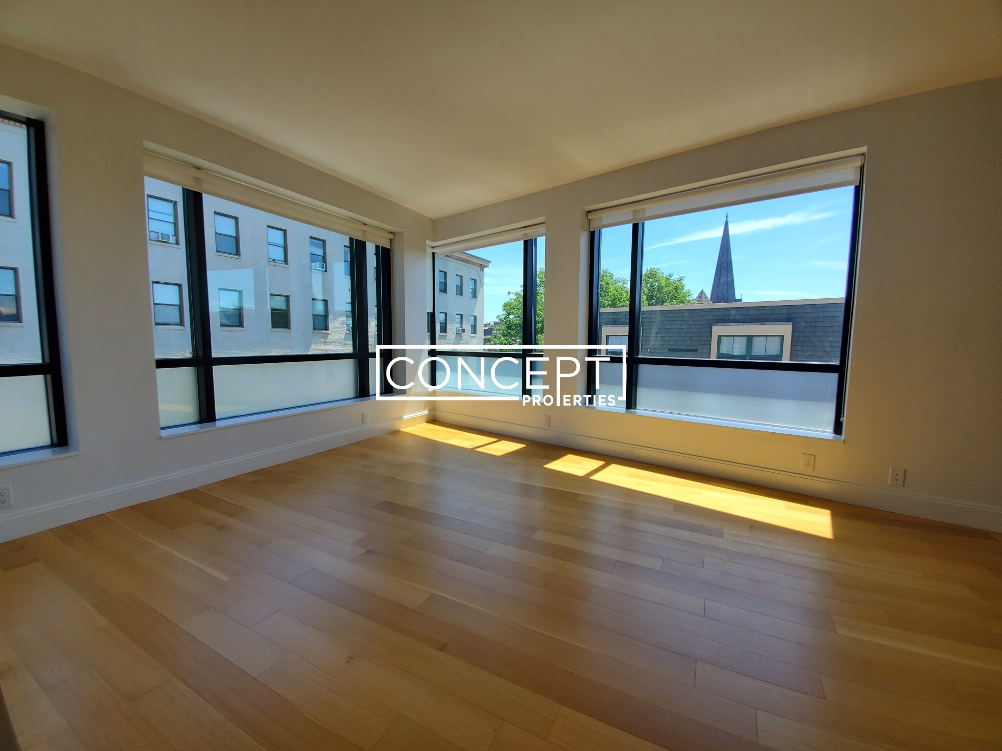 Concept Properties
