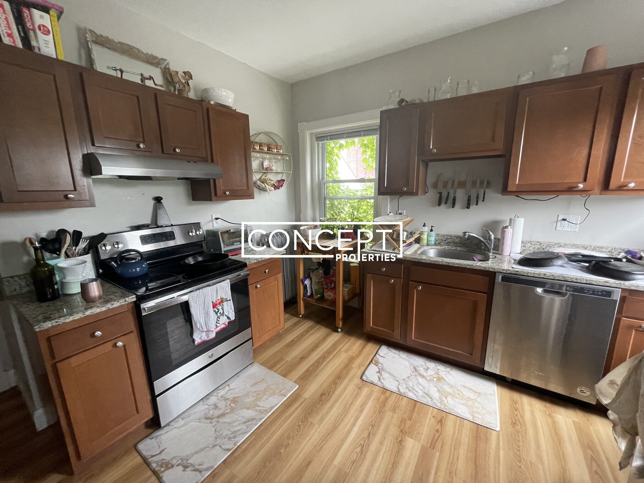Concept Properties
