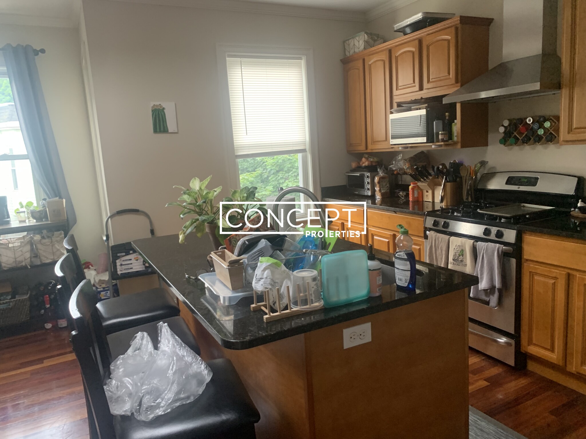 Concept Properties