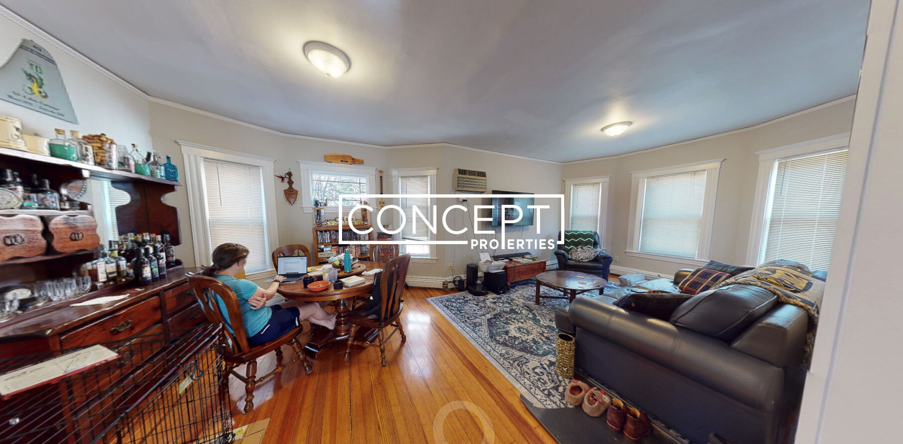 Concept Properties