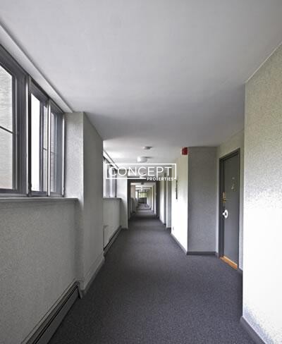 Concept Properties