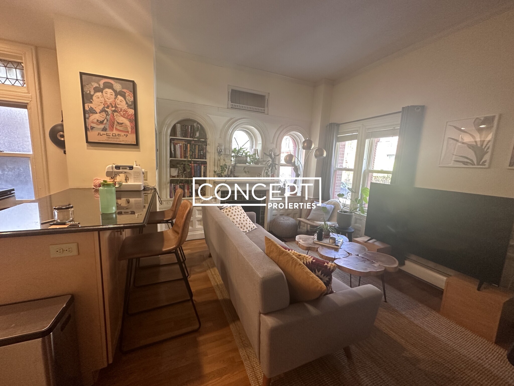 Concept Properties