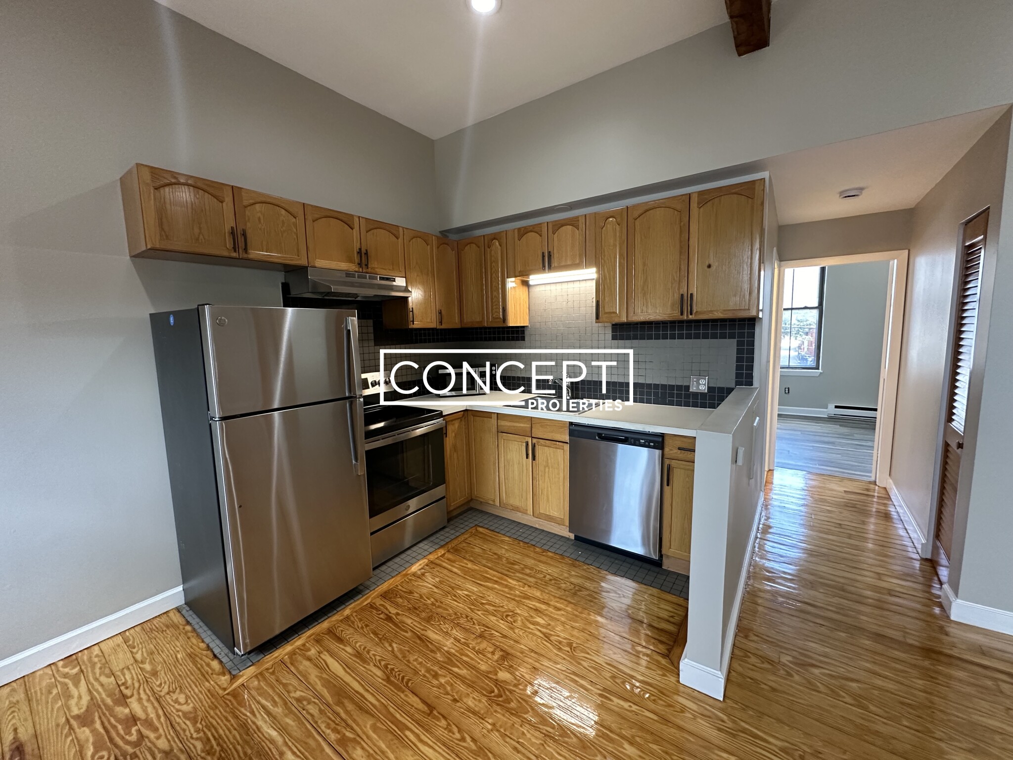 Concept Properties