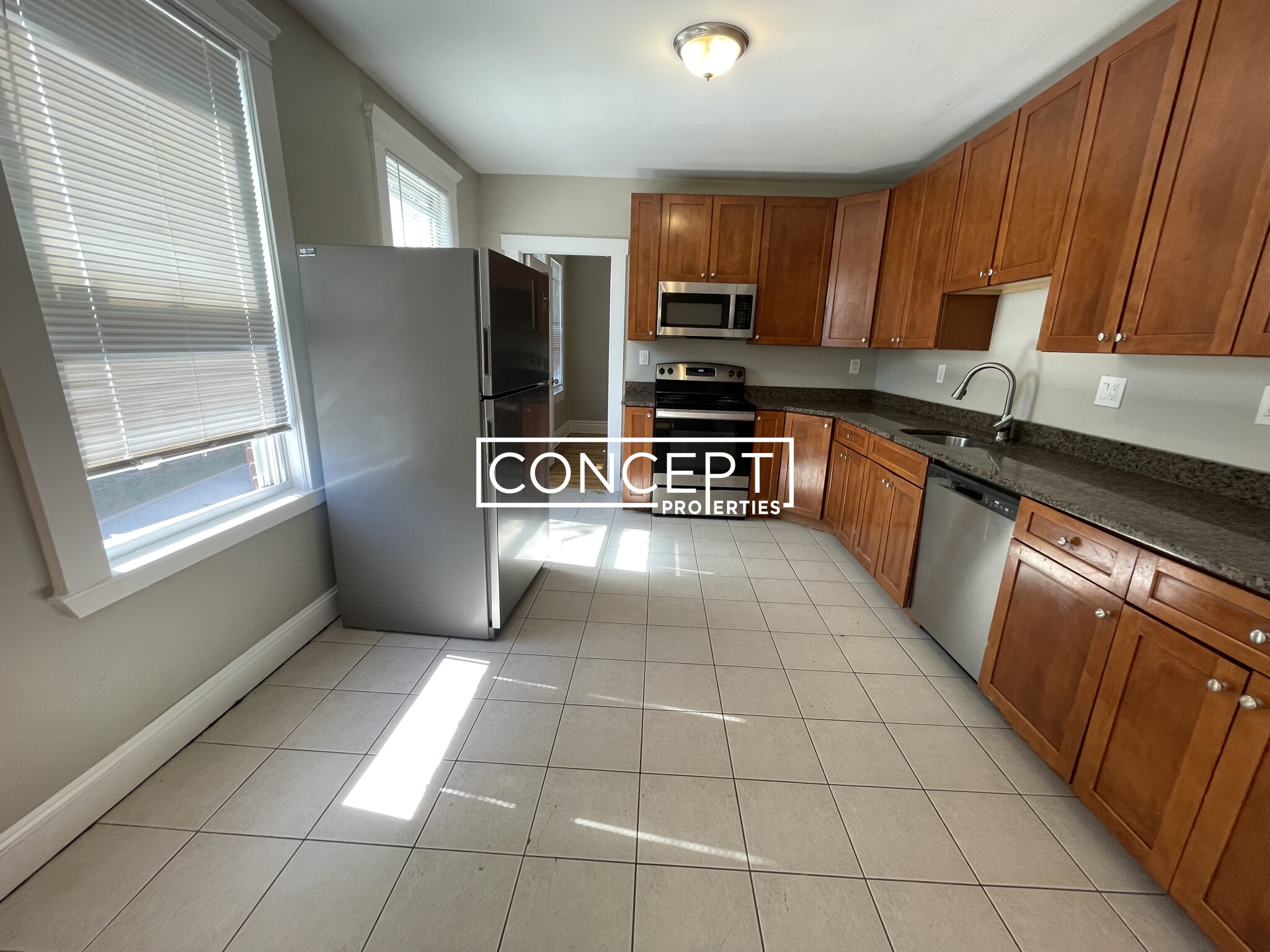 Concept Properties