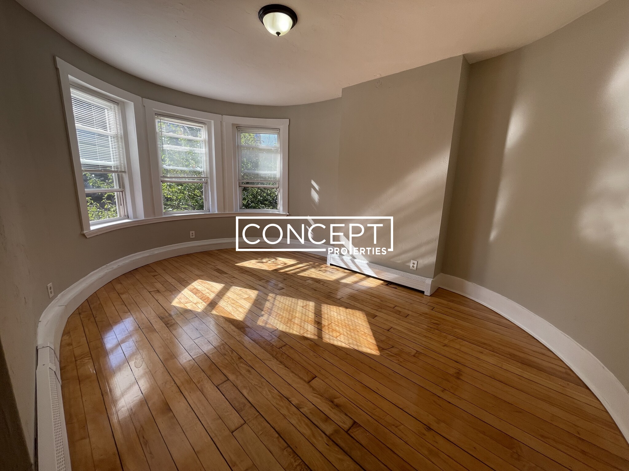 Concept Properties