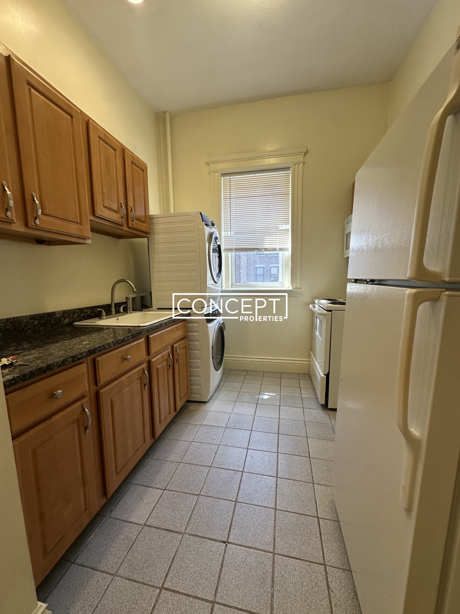Concept Properties
