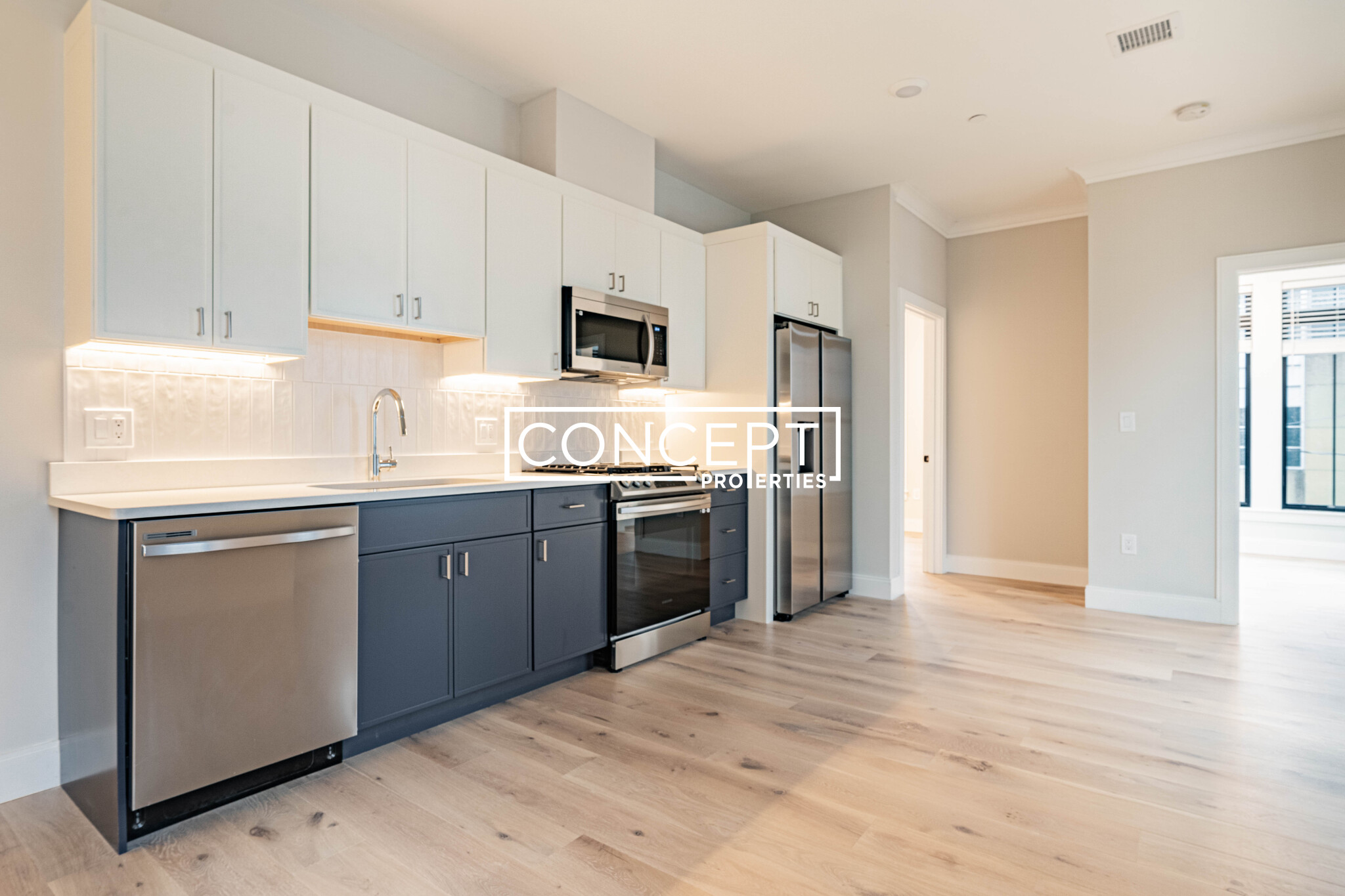 Concept Properties