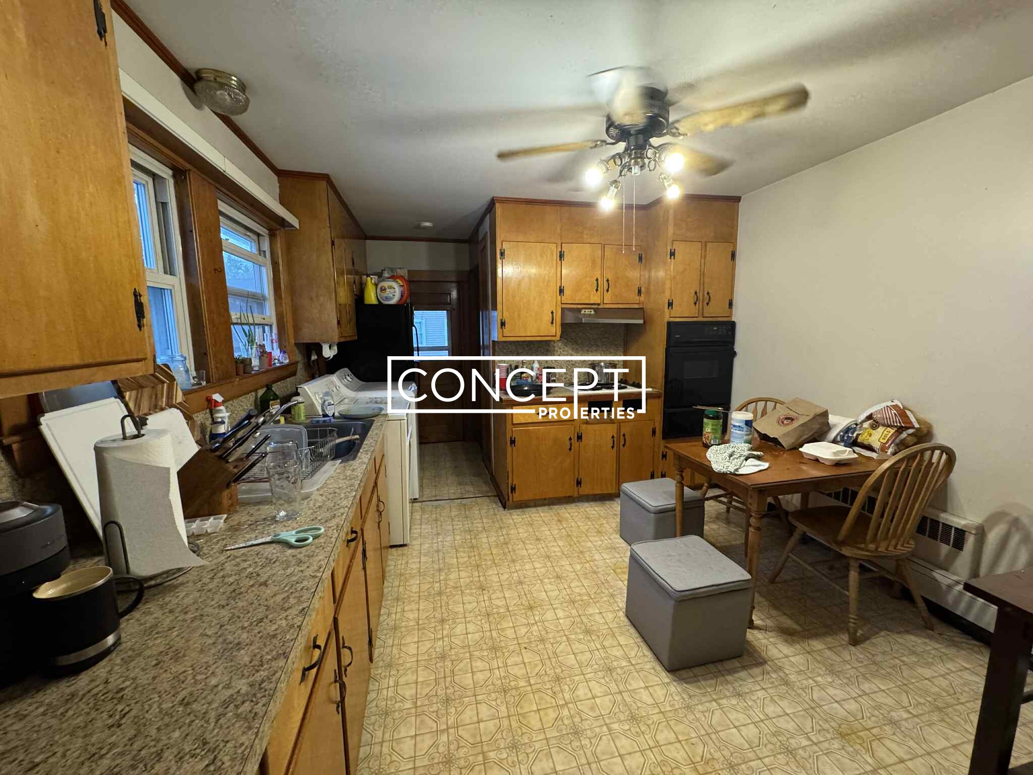 Concept Properties