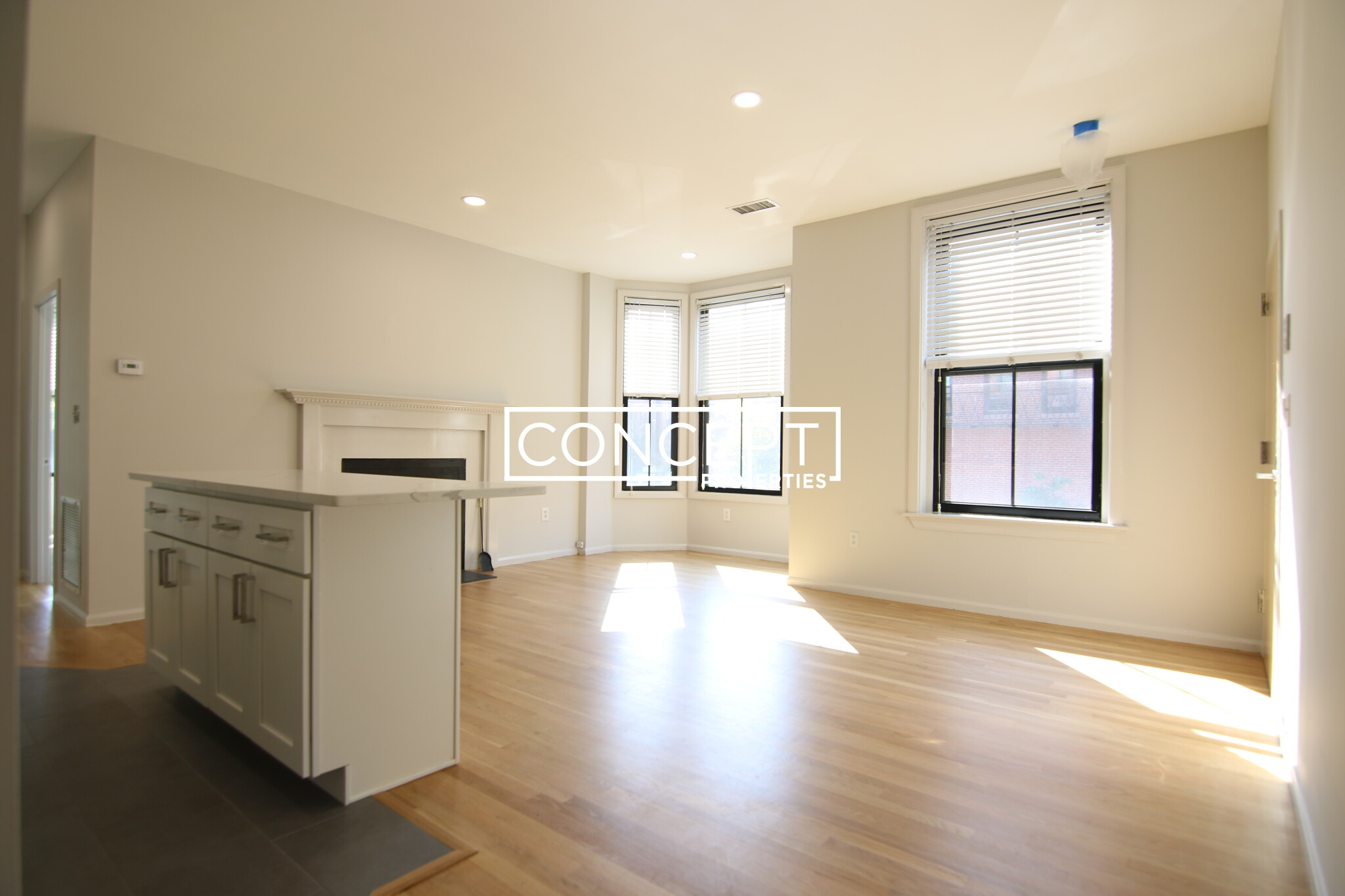 Concept Properties