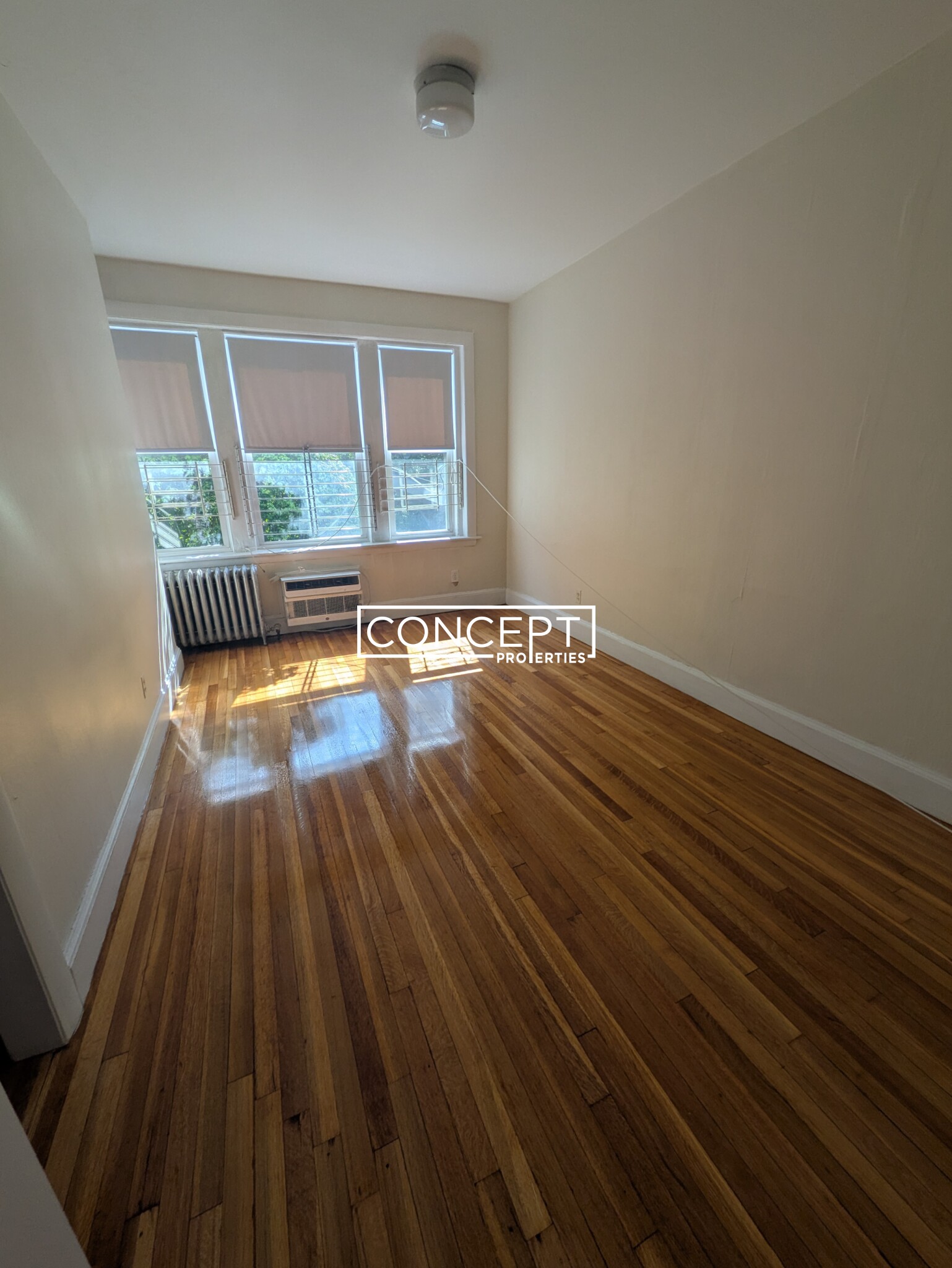Concept Properties