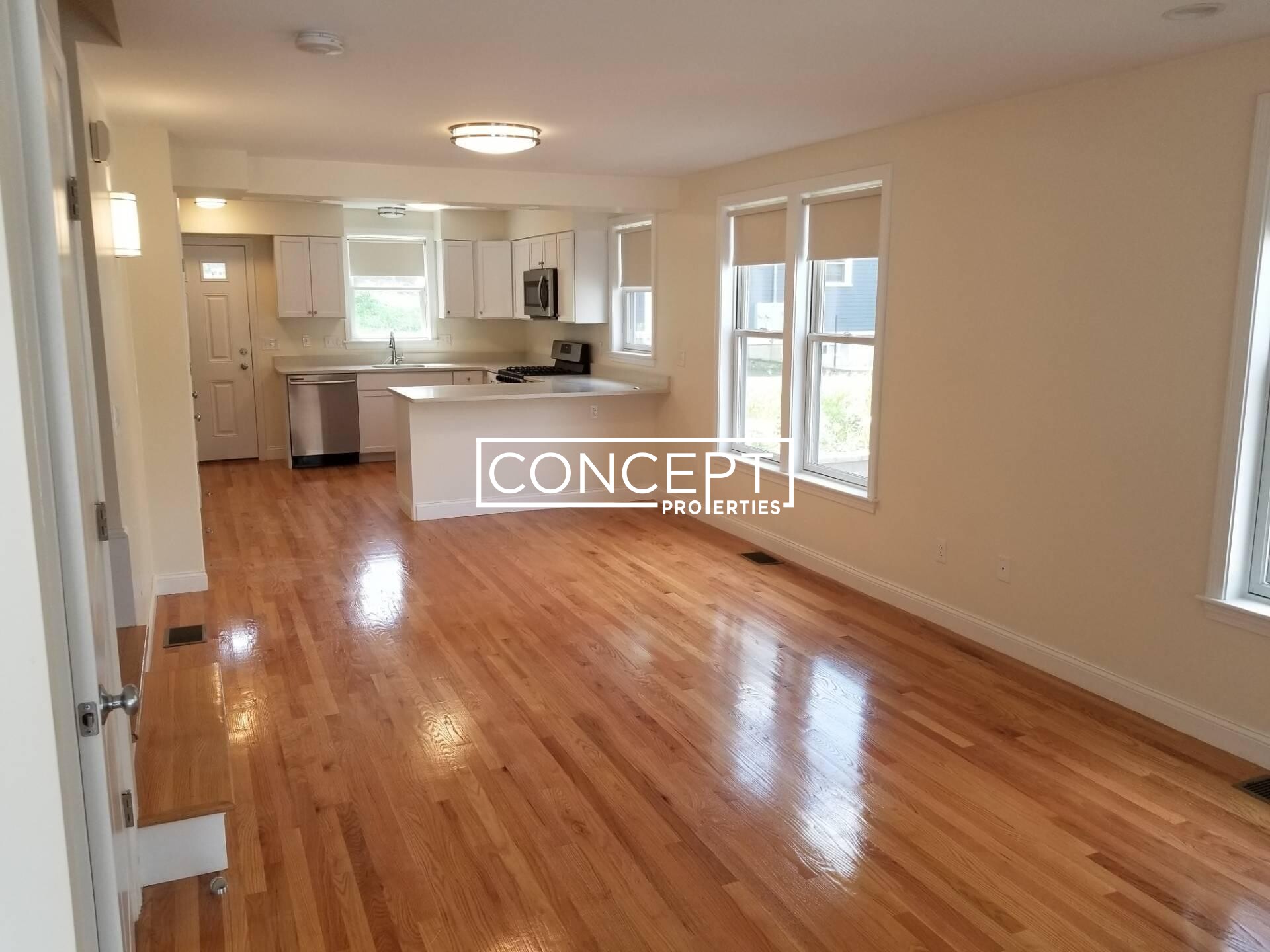 Concept Properties