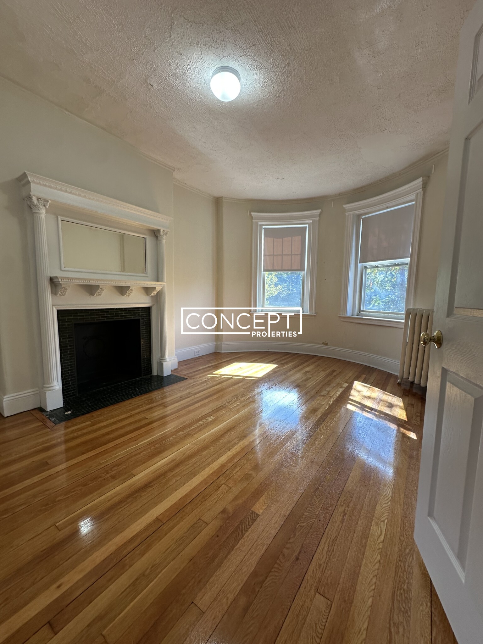 Concept Properties