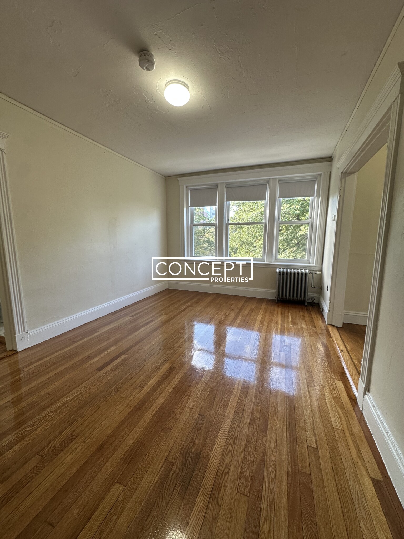 Concept Properties
