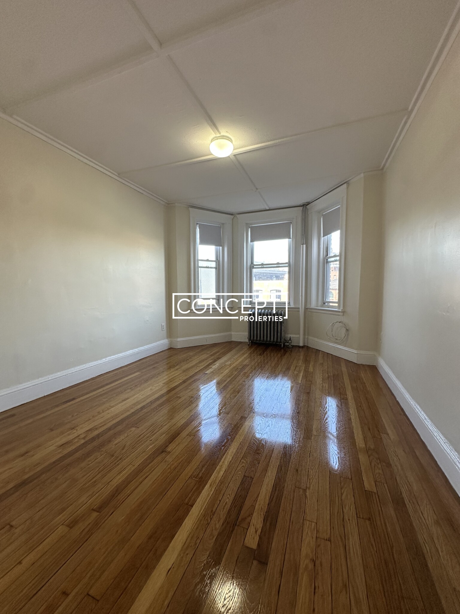 Concept Properties