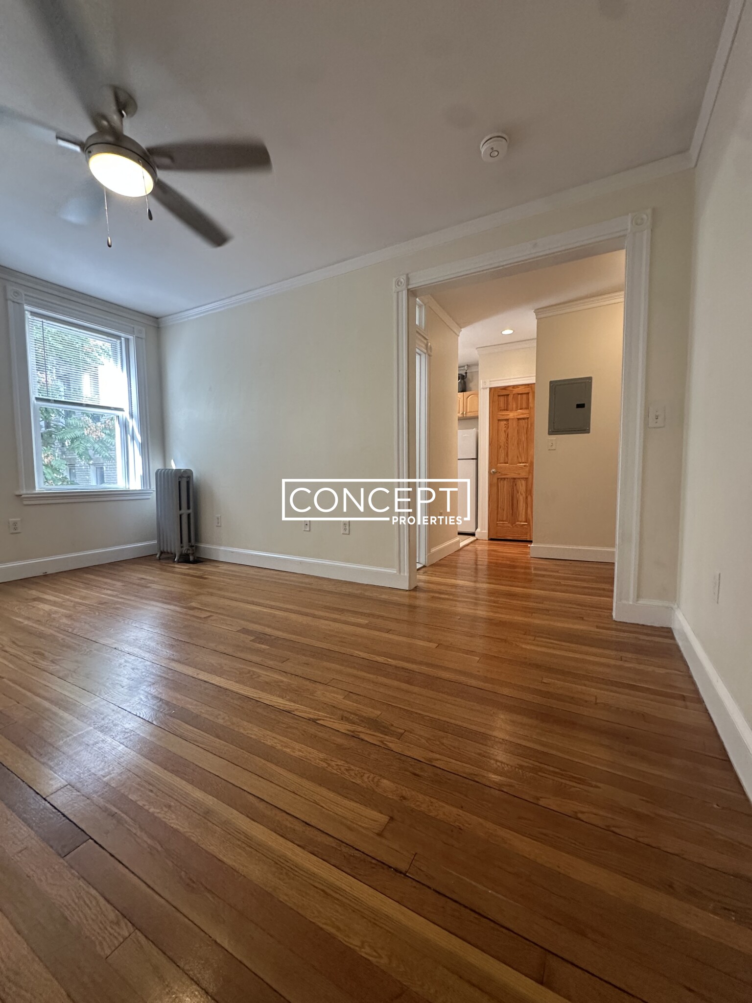 Concept Properties