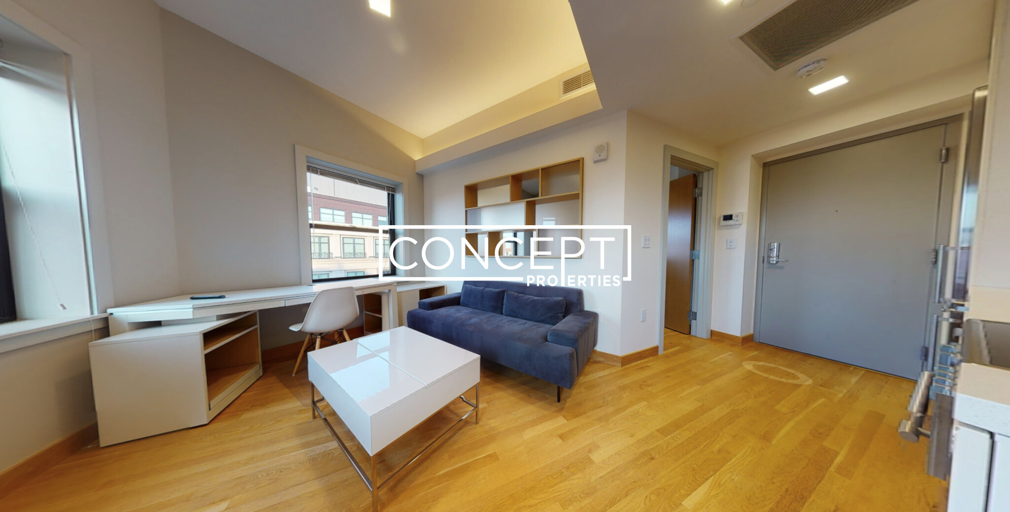 Concept Properties