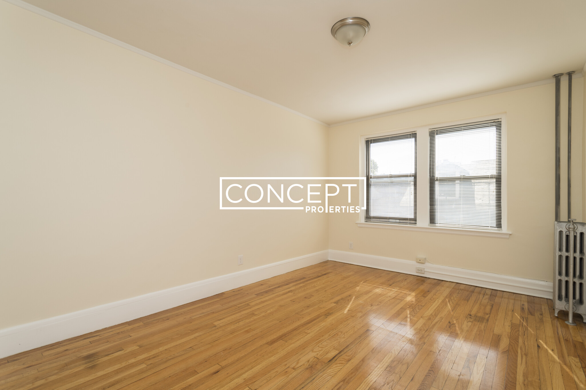 Concept Properties