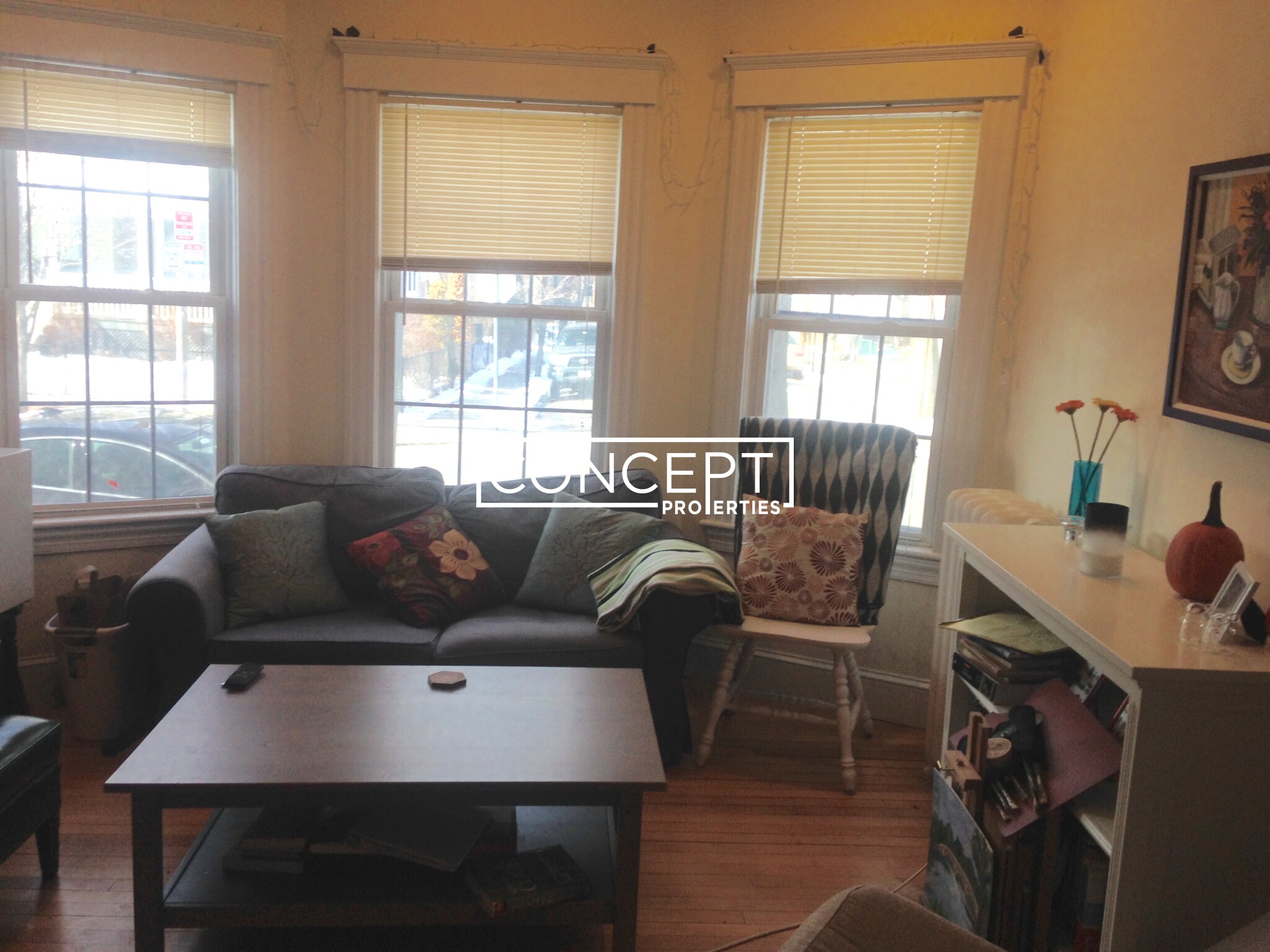 Concept Properties