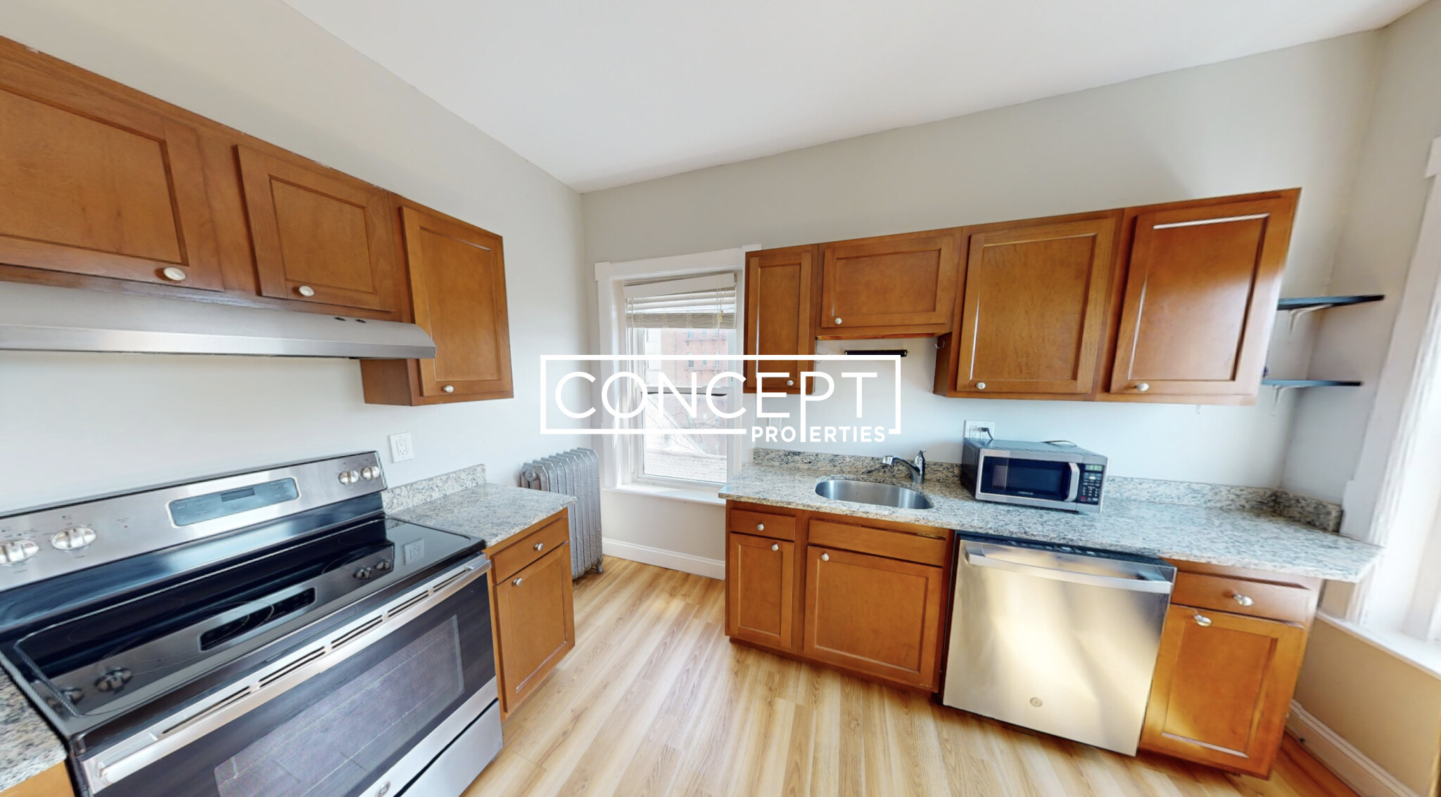 Concept Properties