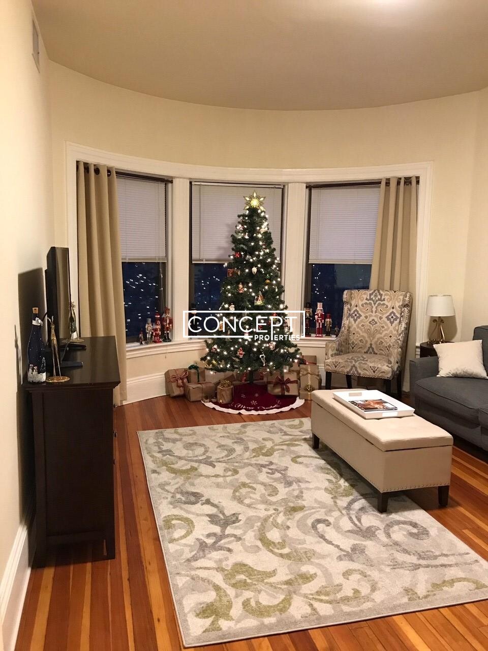 Concept Properties