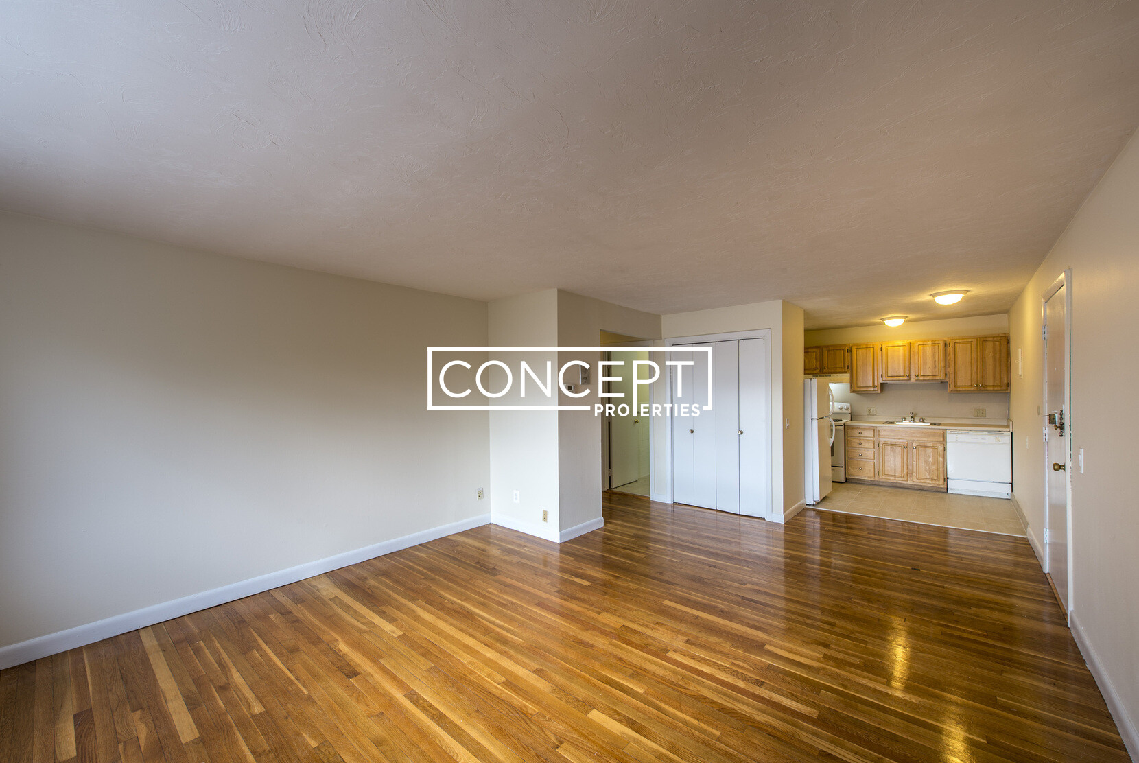 Concept Properties
