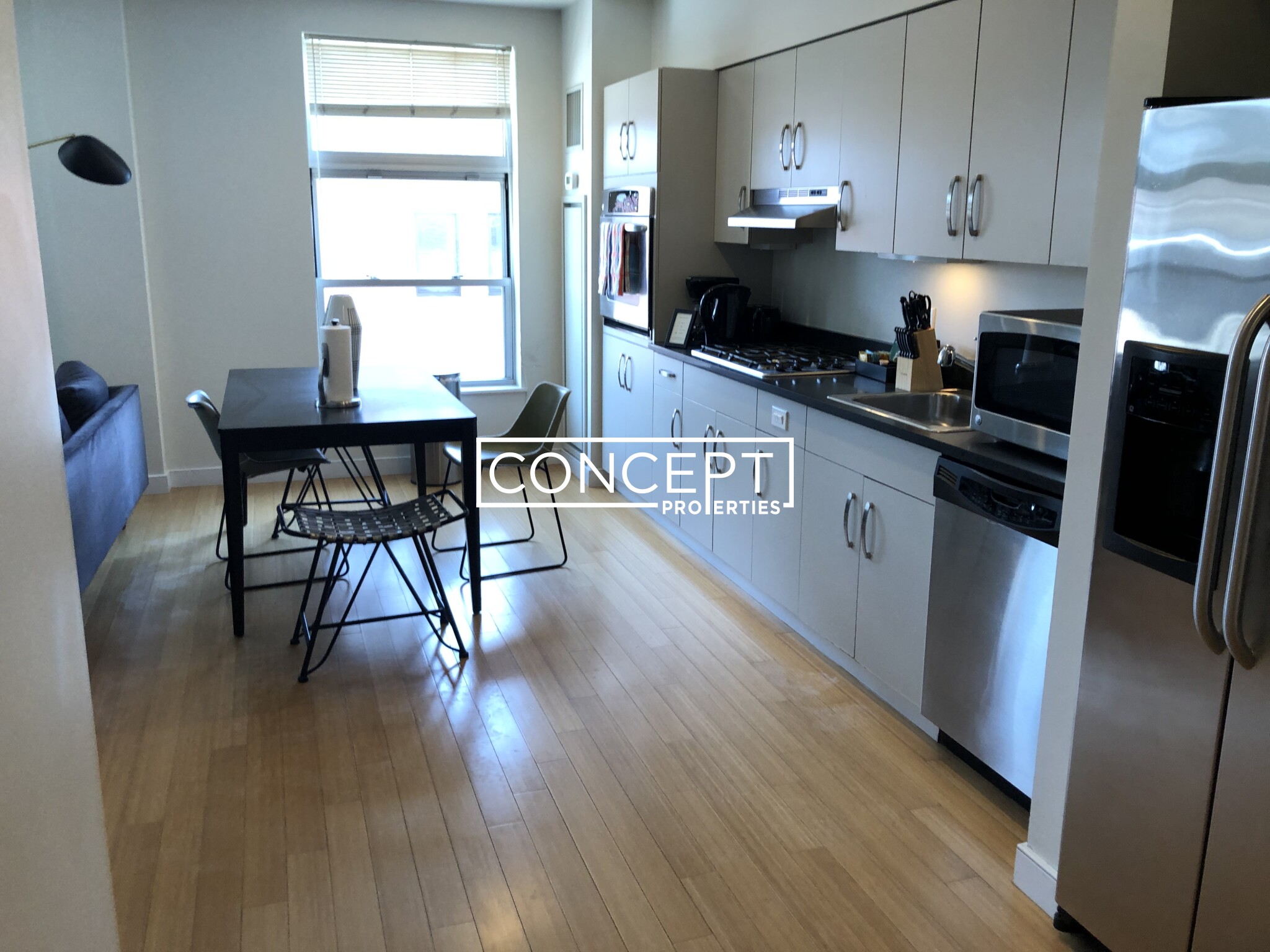 Concept Properties