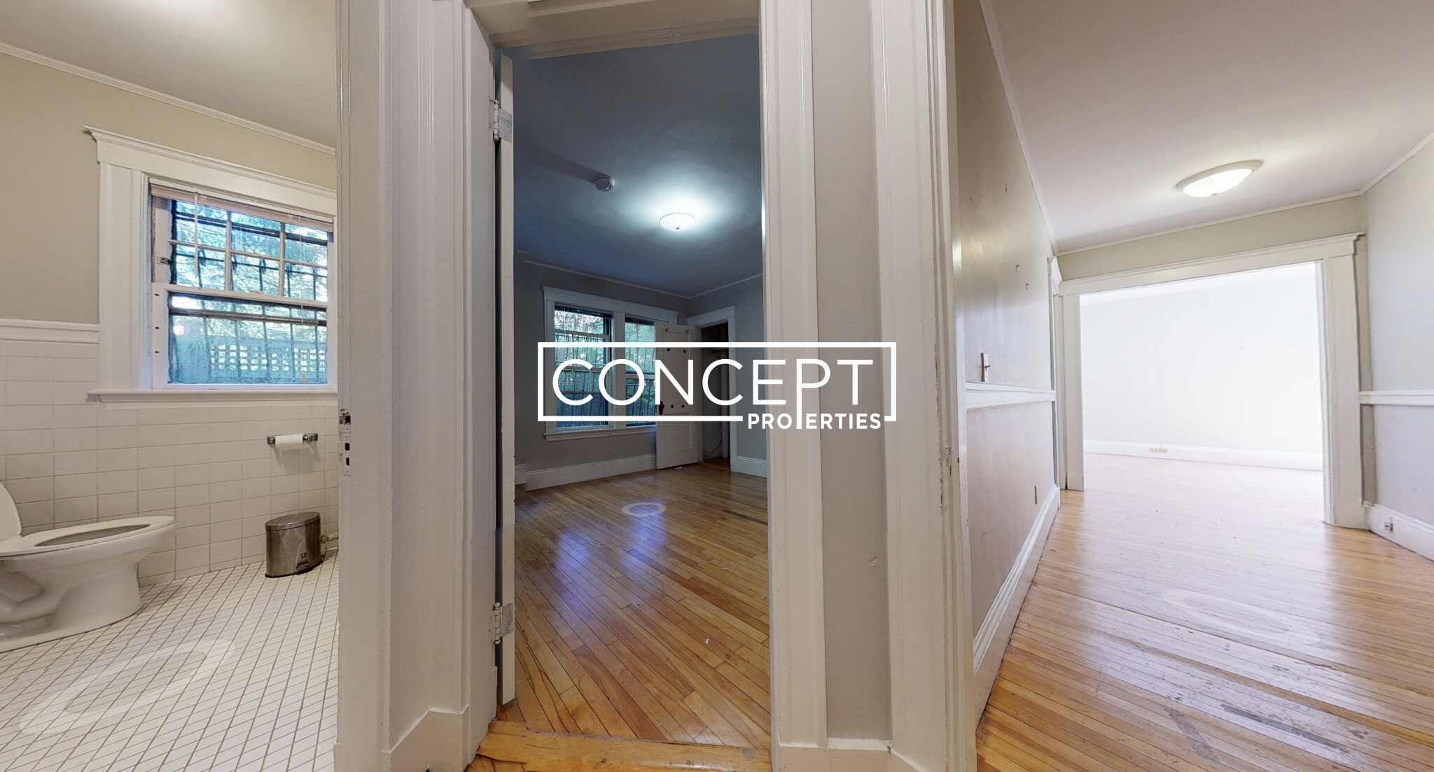Concept Properties