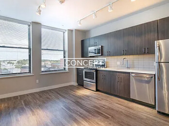 Concept Properties
