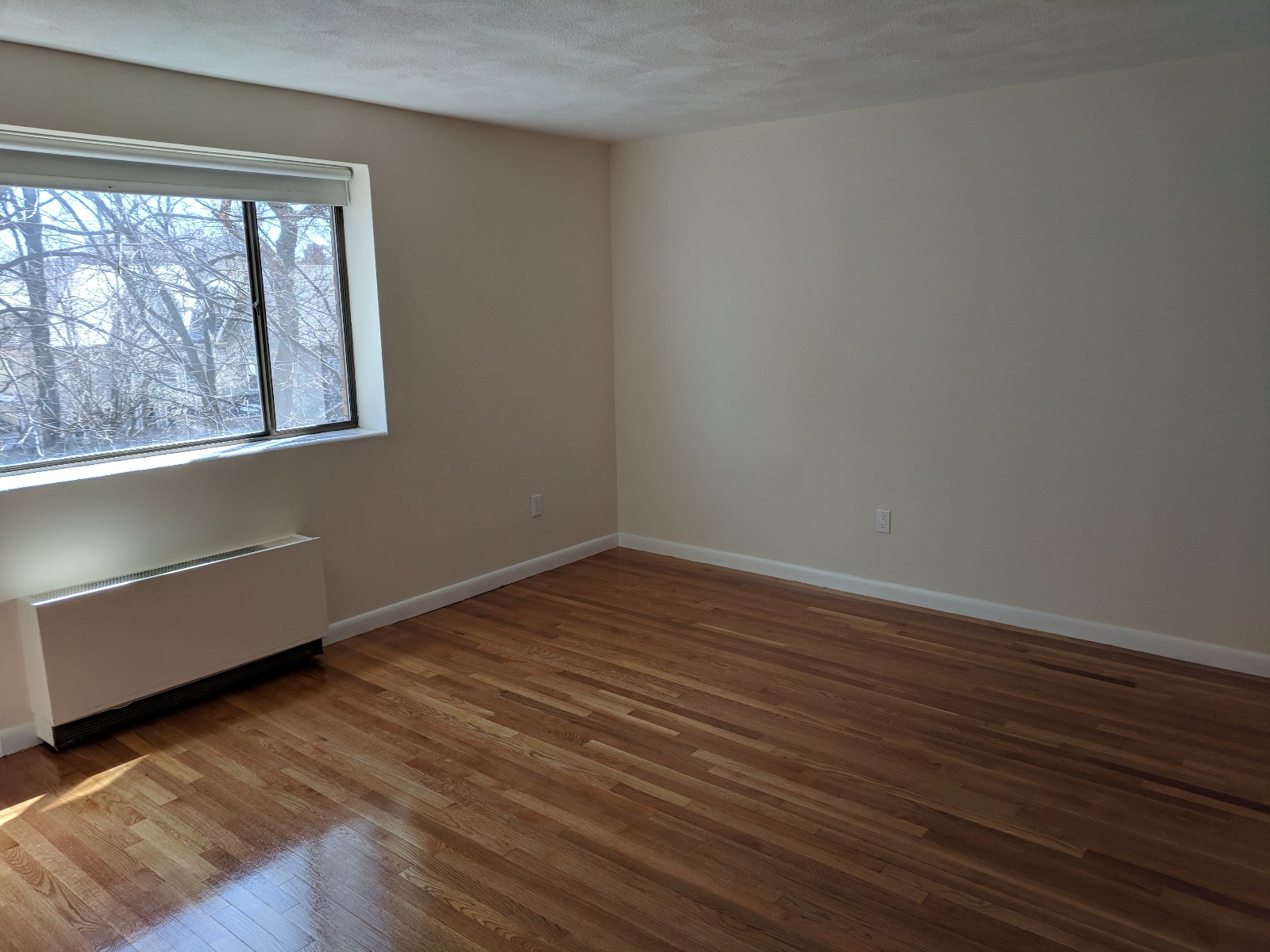 2 bed, 1 bath apartment for rent at 40 Williams St Unit 302, Coolidge Corner — photo 7 of 13