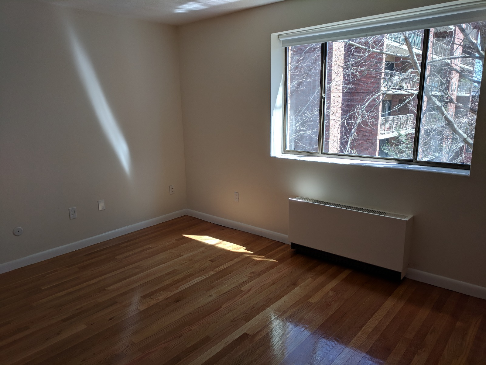 2 bed, 1 bath apartment for rent at 40 Williams St Unit 302, Coolidge Corner — photo 2 of 13