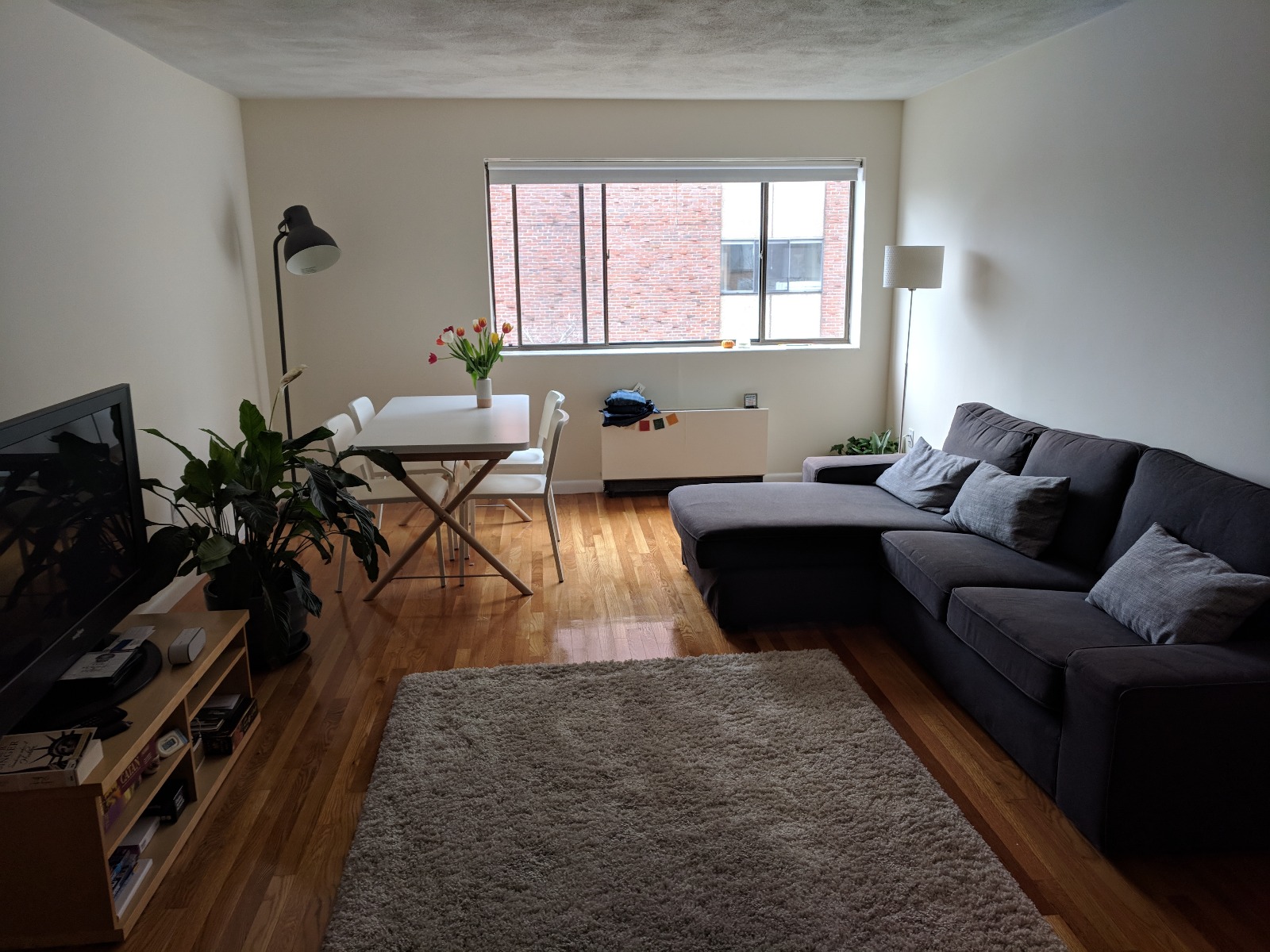 1 bed, 1 bath apartment for rent at 1615 Williams St Unit 8, Brighton — photo 1 of 12