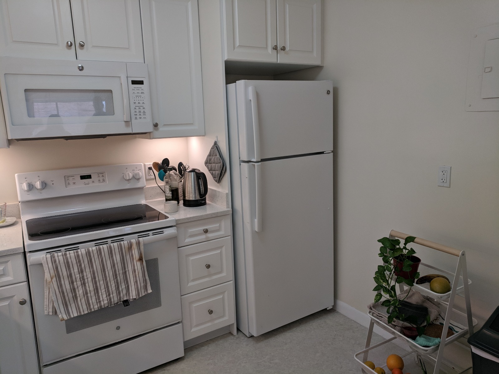 1 bed, 1 bath apartment for rent at 1615 Williams St Unit 8, Brighton — photo 4 of 12