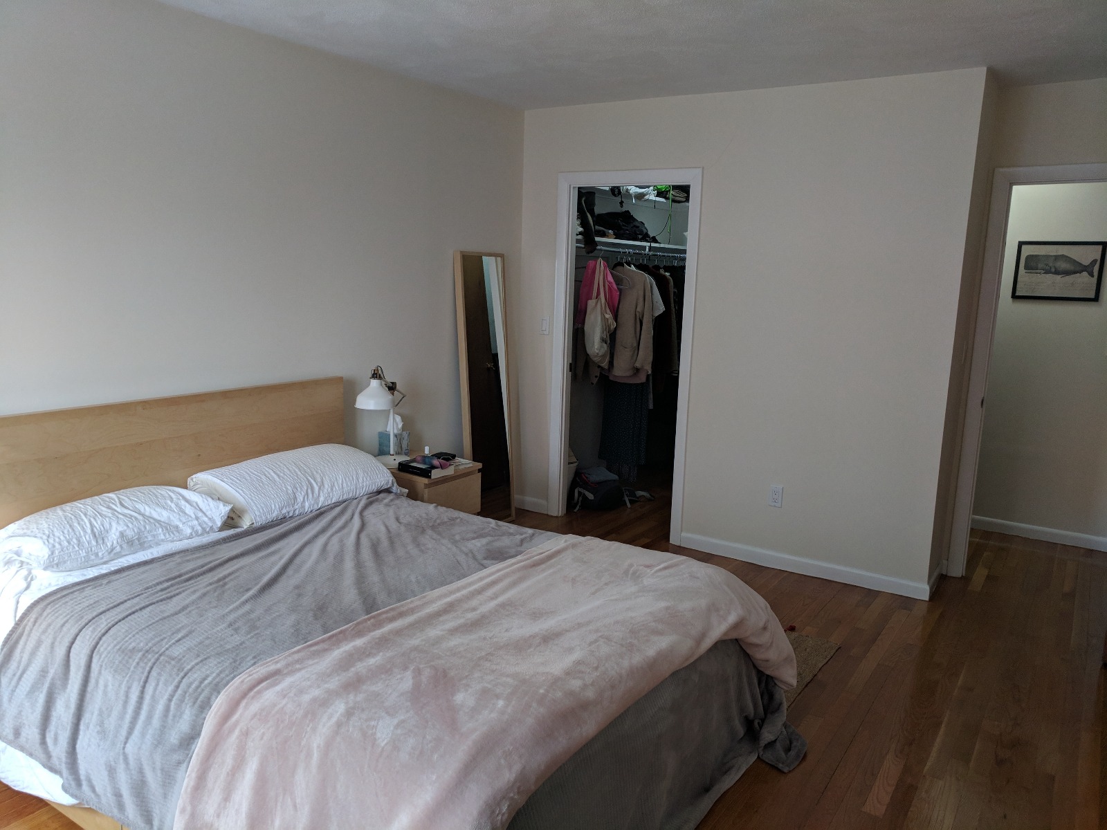 1 bed, 1 bath apartment for rent at 1615 Williams St Unit 8, Brighton — photo 5 of 12