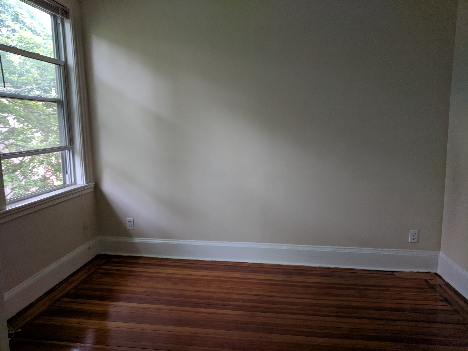 28 Littell Rd, Coolidge Corner